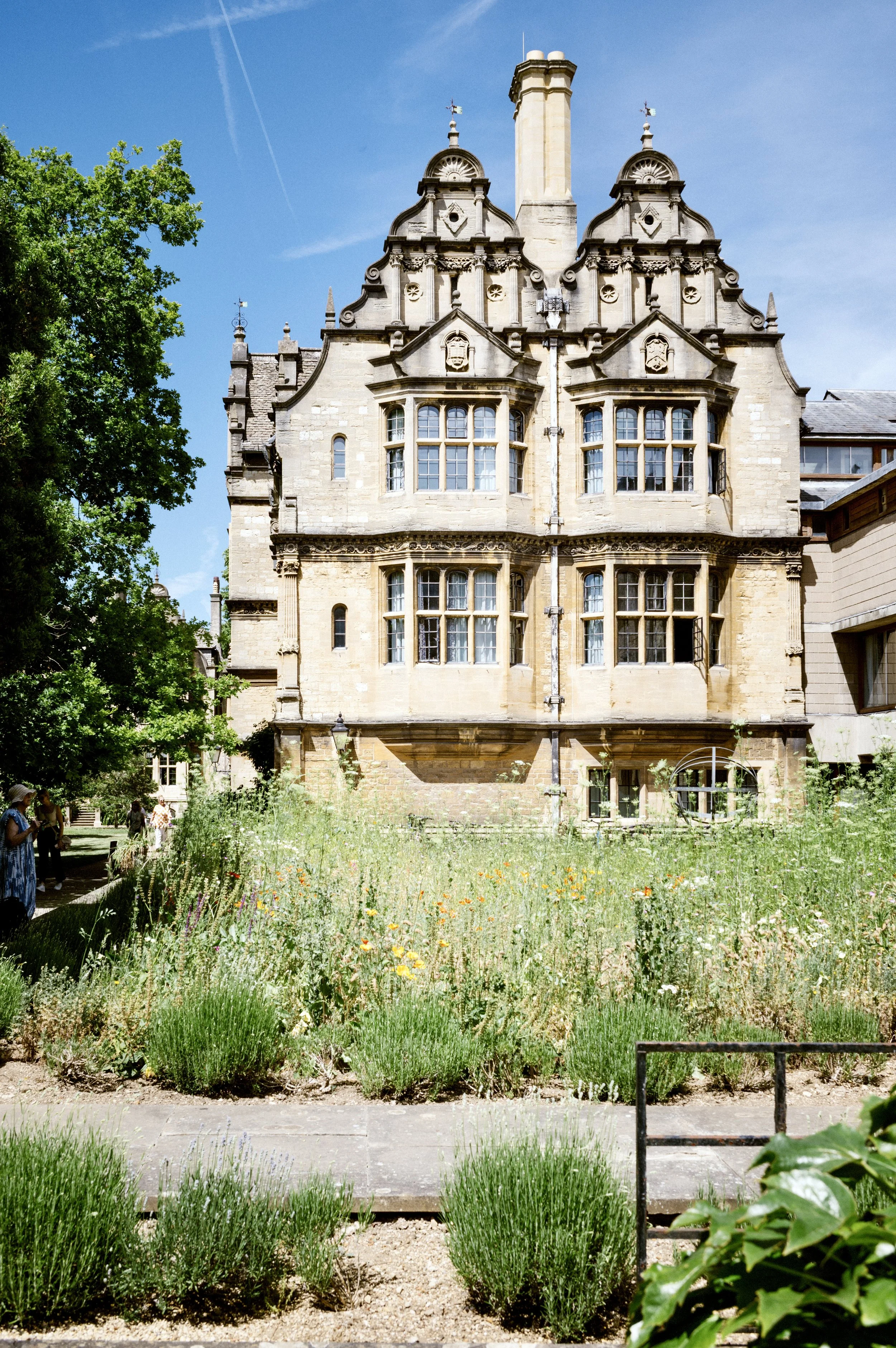 Trinity College Oxford with wildflower borders of poppies and lavender in summer