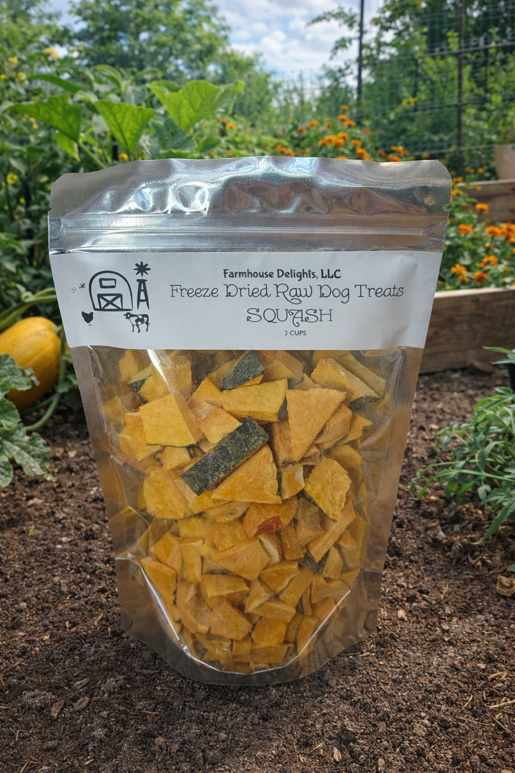 Squash Freeze Dried Dog Treats (Copy) (Copy)