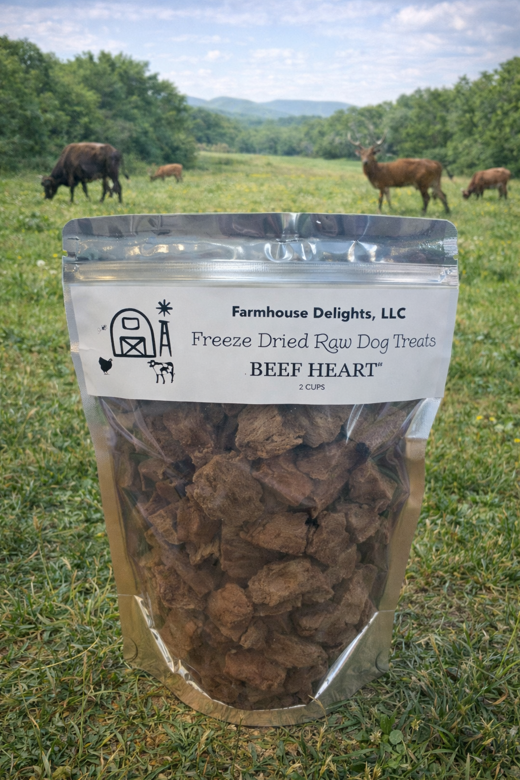 Beef Heart Freeze Dried Pet Treats