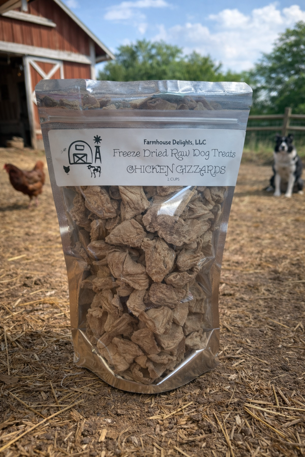 Chicken Gizzard Freeze Dried Dog Treats