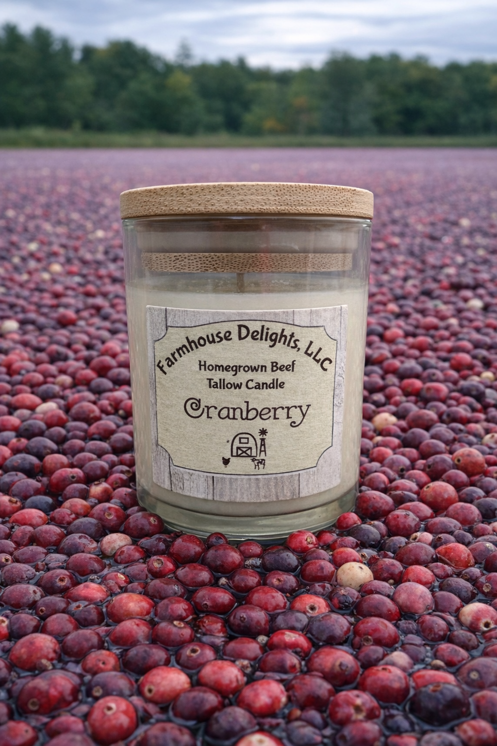 Cranberry Tallow Candle