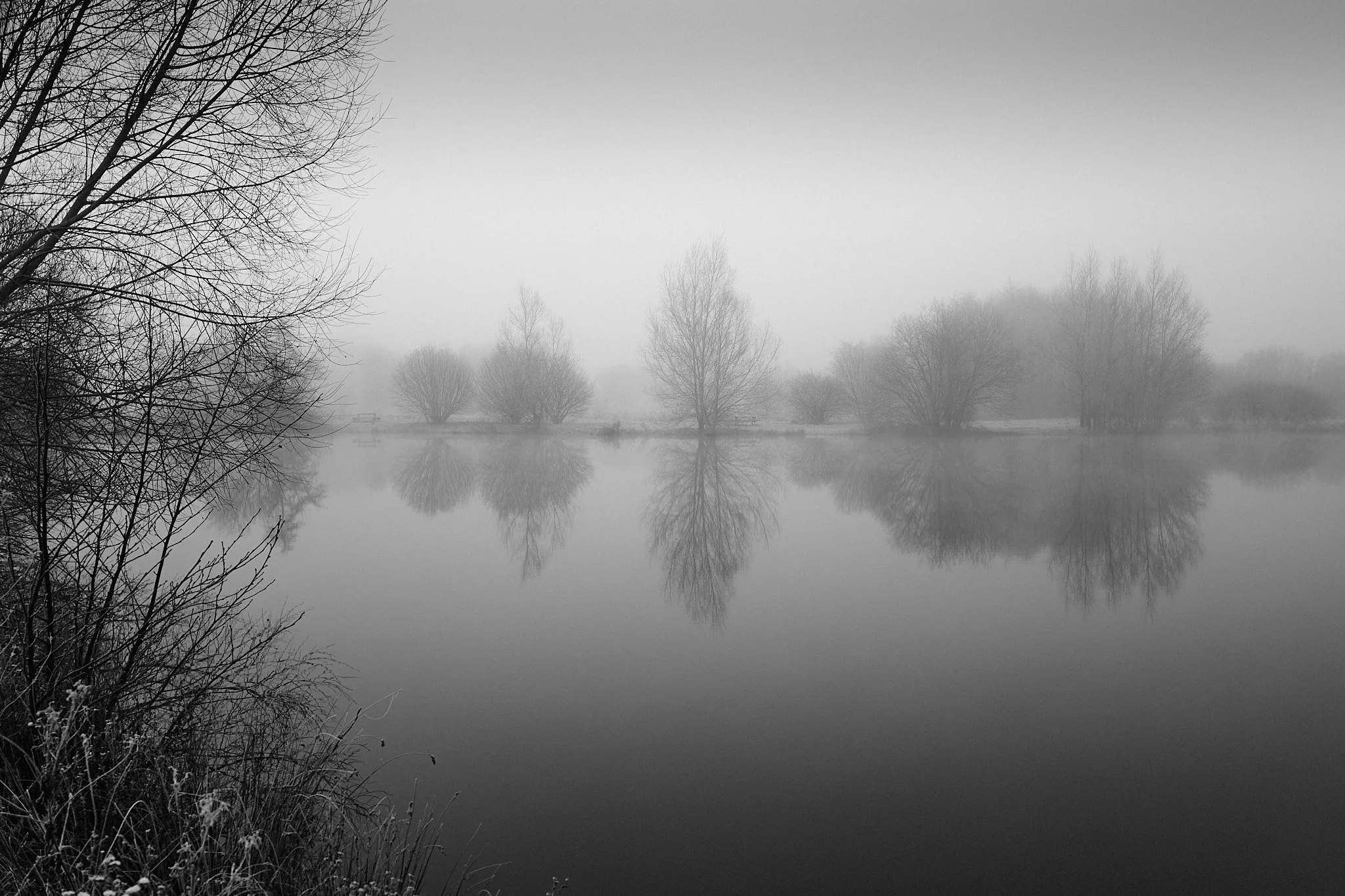 L1030213.jpg