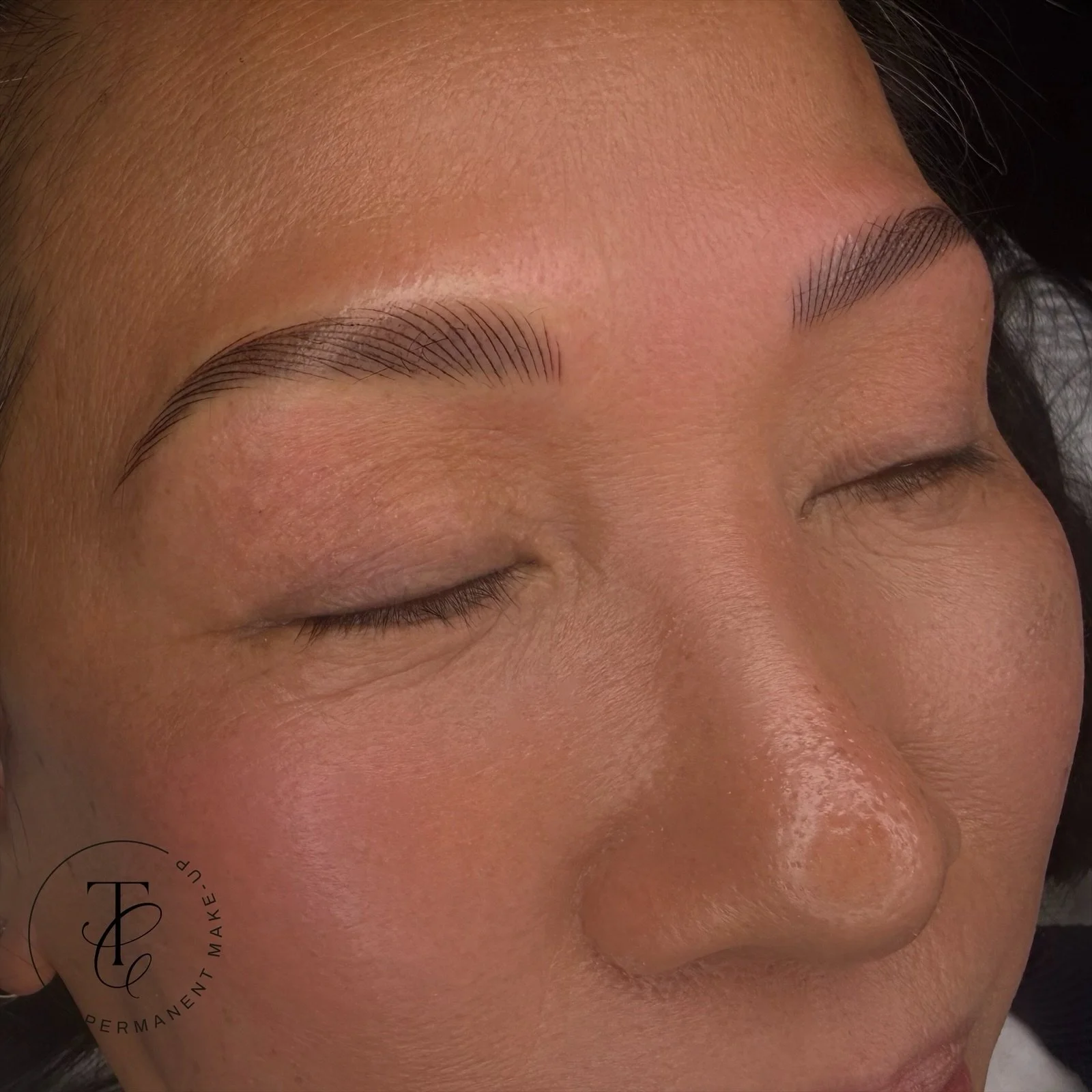 Soft, seamless nano strokes for the most natural finish ✨

&mdash;&mdash;&mdash;

Procedure: Nano brows
Procedure time: 2.5hrs
Down time: Minimal to no down time
Suitable for: All skin types 
Duration: 2+ years 
&mdash;&mdash;&mdash;

www.tashacanino