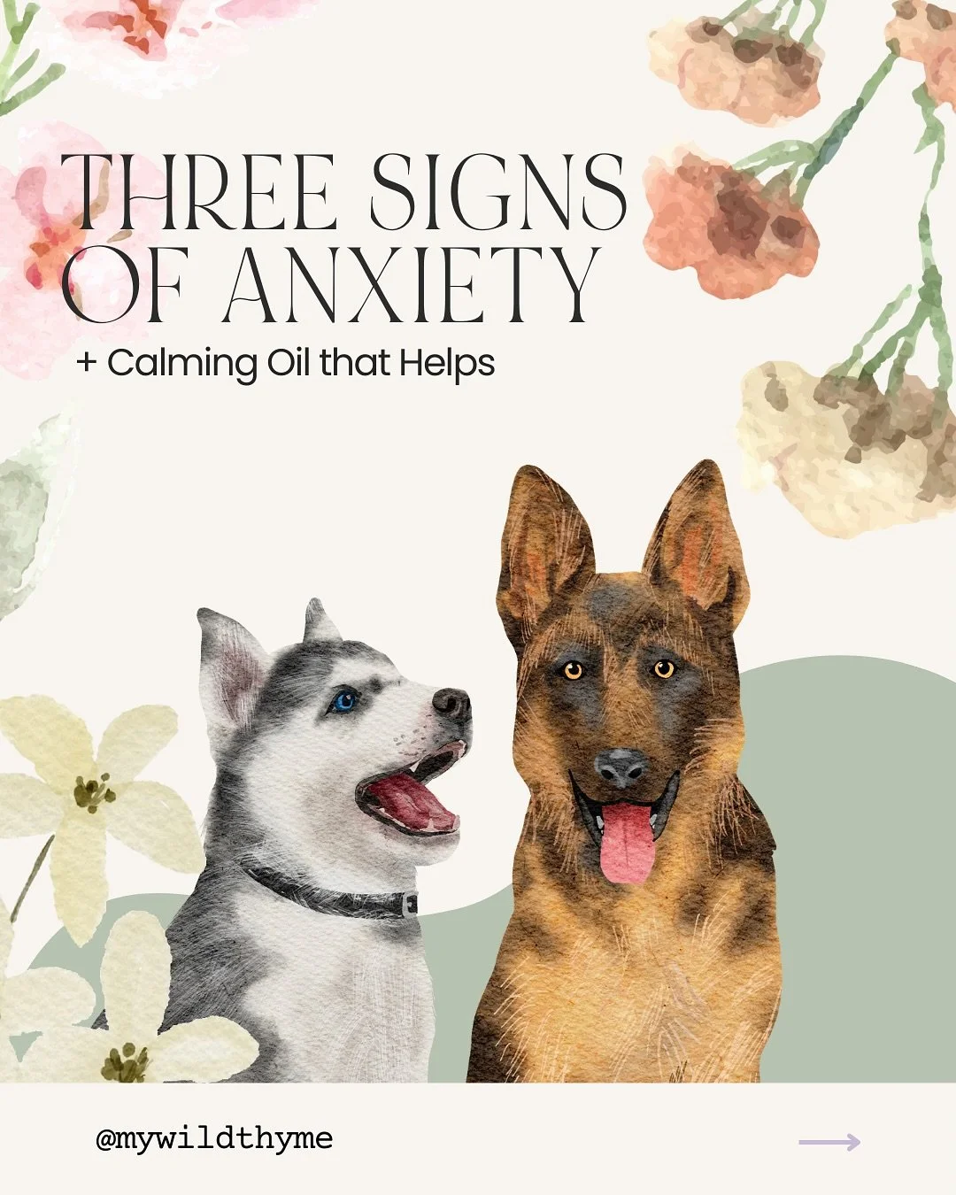 Worries your dog might be anxious? 

Check these 3 signs and discover safe oils to soother their nerves. Happy pups, happy life! 🐶💗