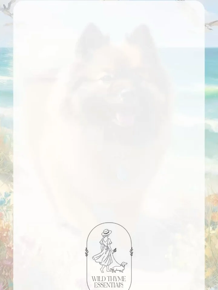 ☀️🐾 Keeping Pets Cool This Summer 🐾☀️

When the temperatures rise, our furry friends feel it too! While we keep them safe with shade, fresh water, and cool resting spots, we can also create a calming, refreshing atmosphere indoors. 💨✨

Here are 3 