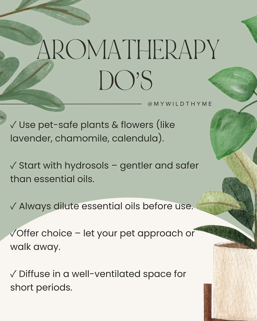 Our furry friends have super sensitive noses 👃🐶🐱that&rsquo;s why safe aromatherapy is all about gentle, mindful use.

✅ Do&rsquo;s
✔️ Use pet-safe flowers like lavender, chamomile, calendula
✔️ Start with hydrosols (gentler than oils)
✔️ Always di