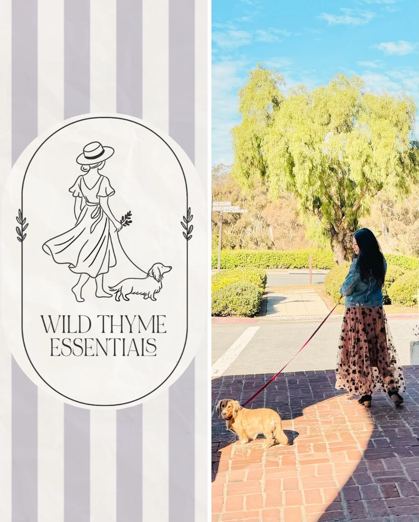 I created Wild Thyme Essentials because our pets aren&rsquo;t just part of our lives, they are our lives. I wanted wellness rituals that honored that bond, using natural ingredients safe for both humans and the animals we love. 🌿 We share our homes,