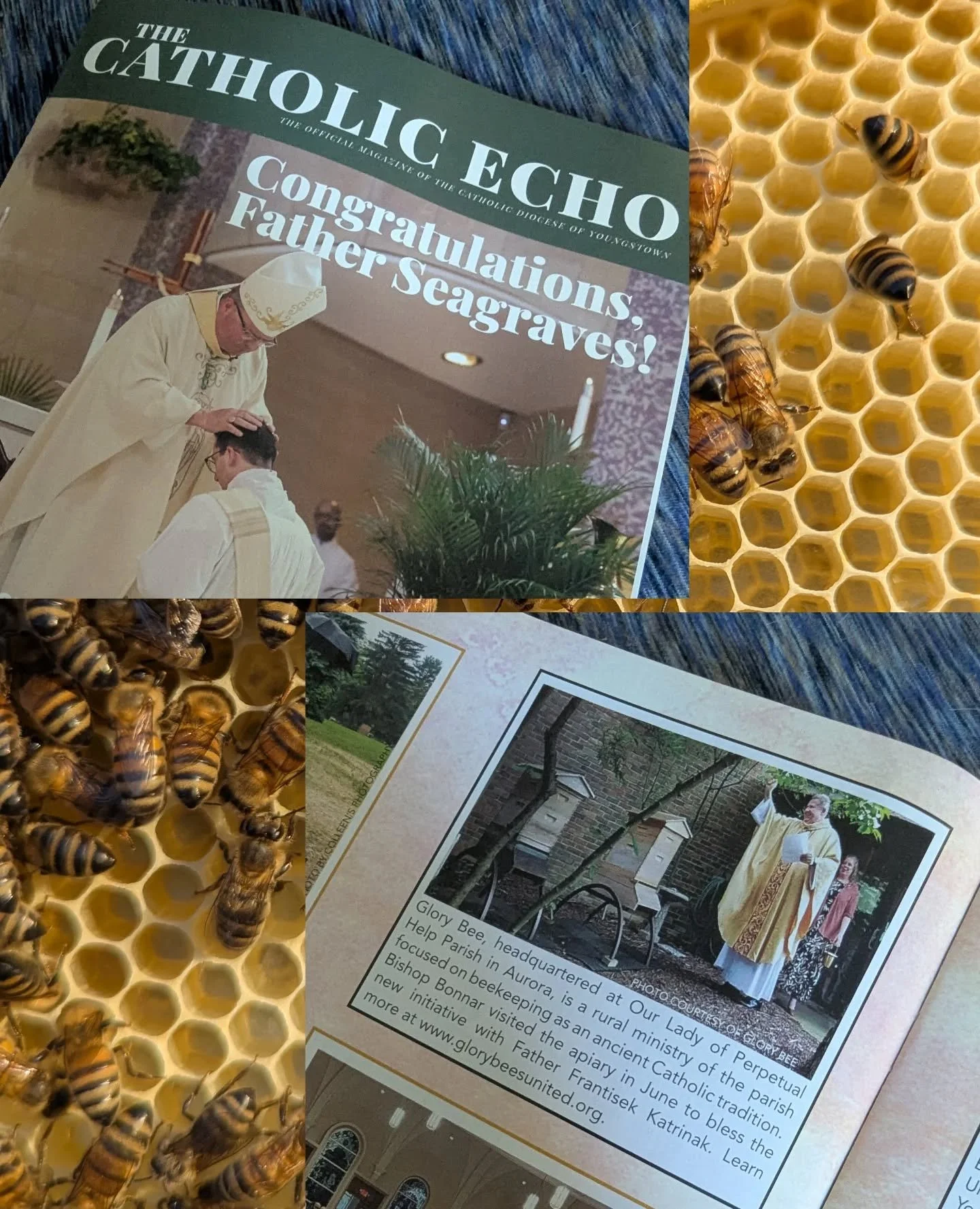 Thank you @thecatholicecho for highlighting Glory Bee in the September issue! 🐝🙏🏻❤️