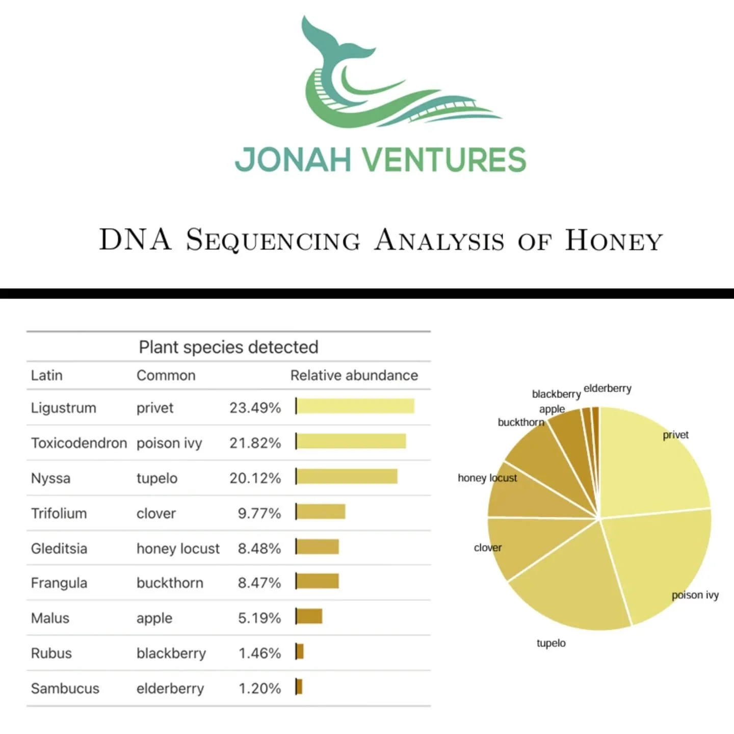 The results are in! We tested Dawn's Spring honey and waited patiently to learn what was making the honey have such a strong, licorice-like taste. Now we know! We think it may have been the tupelo!! 🙏🏻🍯🤯🐝❤️
