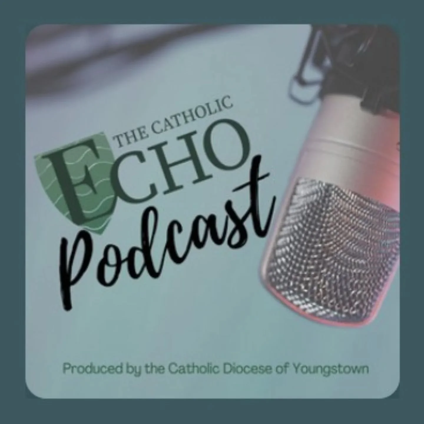 Did you catch Glory Bee on @doyoungstown @thecatholicecho this week?? Check out Episode 95: Find out what the Buzz is about in the Diocese of Youngstown 🐝🐝🐝