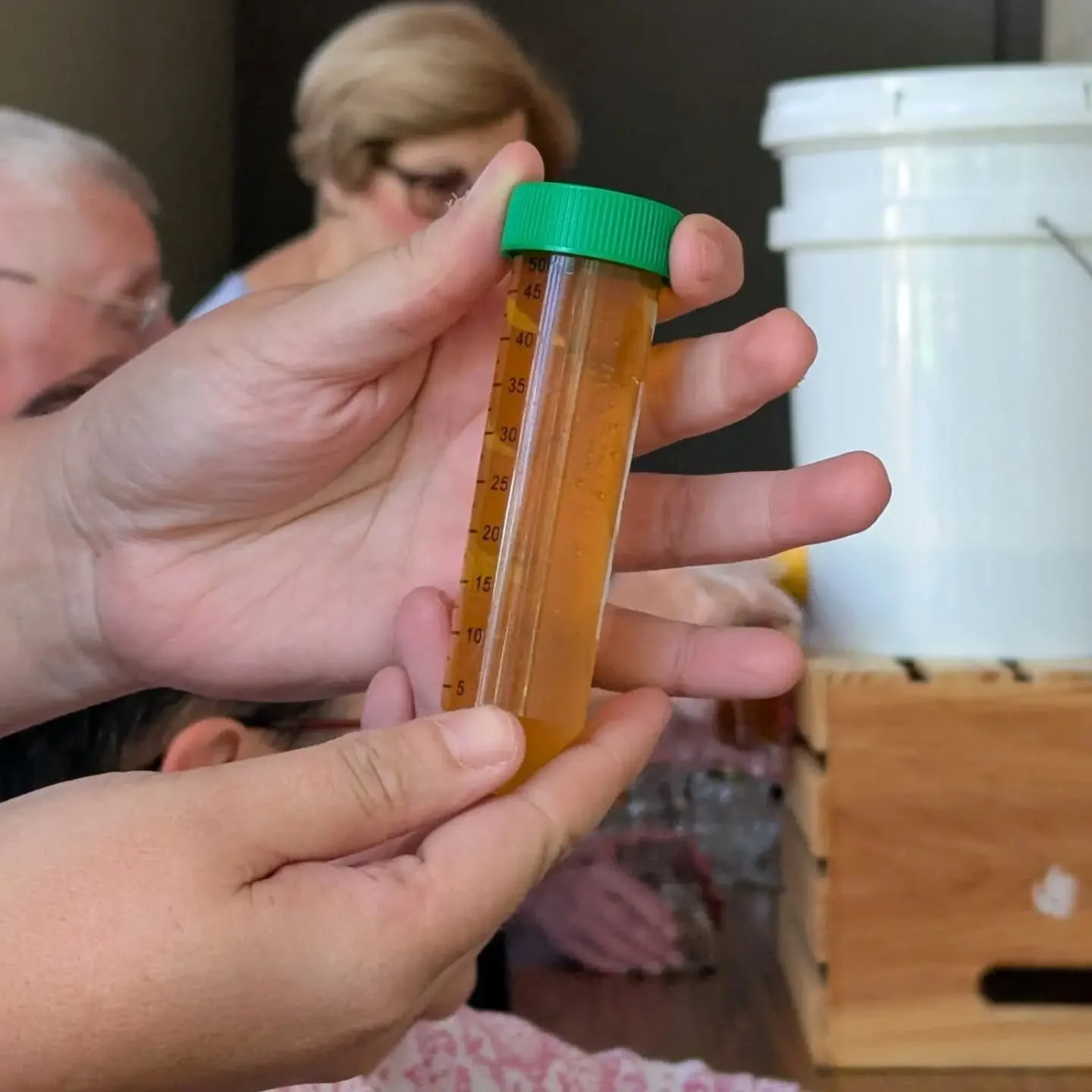 During our honey bottling we pulled a sample to send for pollen DNA testing. We've done this before when the hives were located at Our Lady and the results were amazing! With the hives at a new location, we already have guesses coming in. Willow? Hon