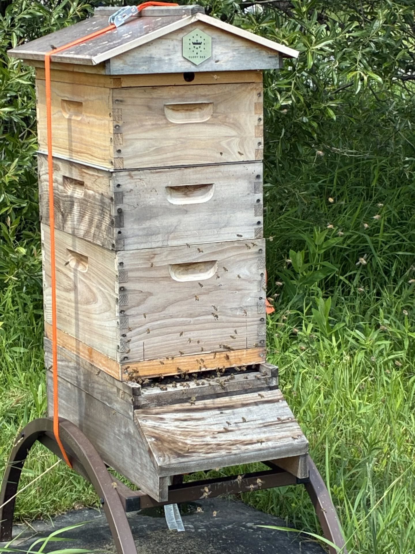 We got an update that the Glory Bee hives this afternoon are SUPER busy! Some of our members are going to check on the bees tomorrow evening and check honey status. Stay tuned for a hive update tomorrow evening! 🐝🐝🐝

If you are interested in joini