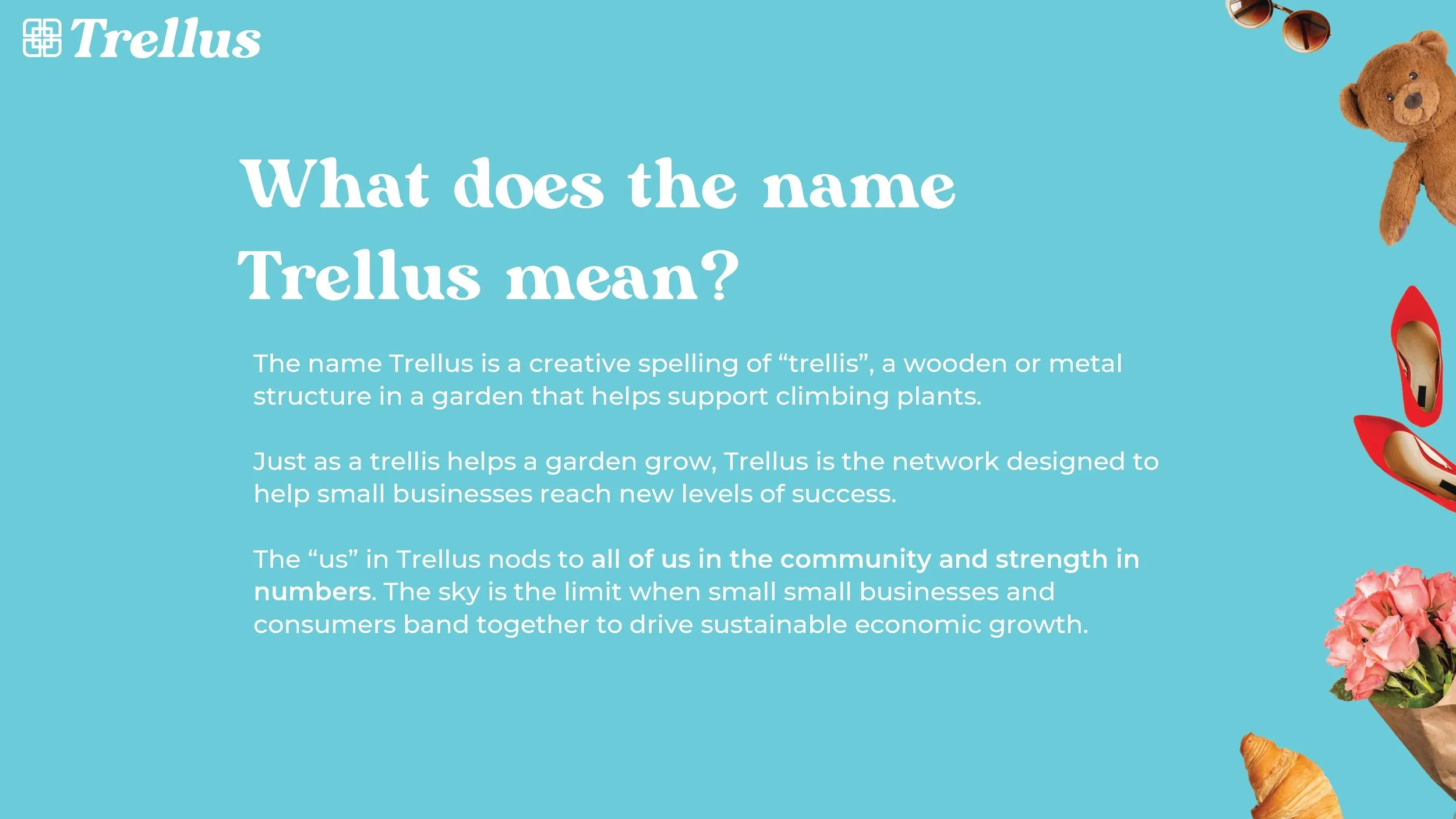 Trellus Brand & Style Guide_Page_06.jpg