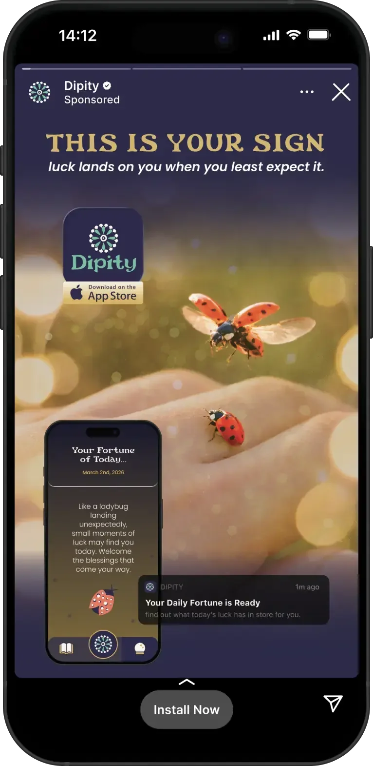 ladybug phoe.webp