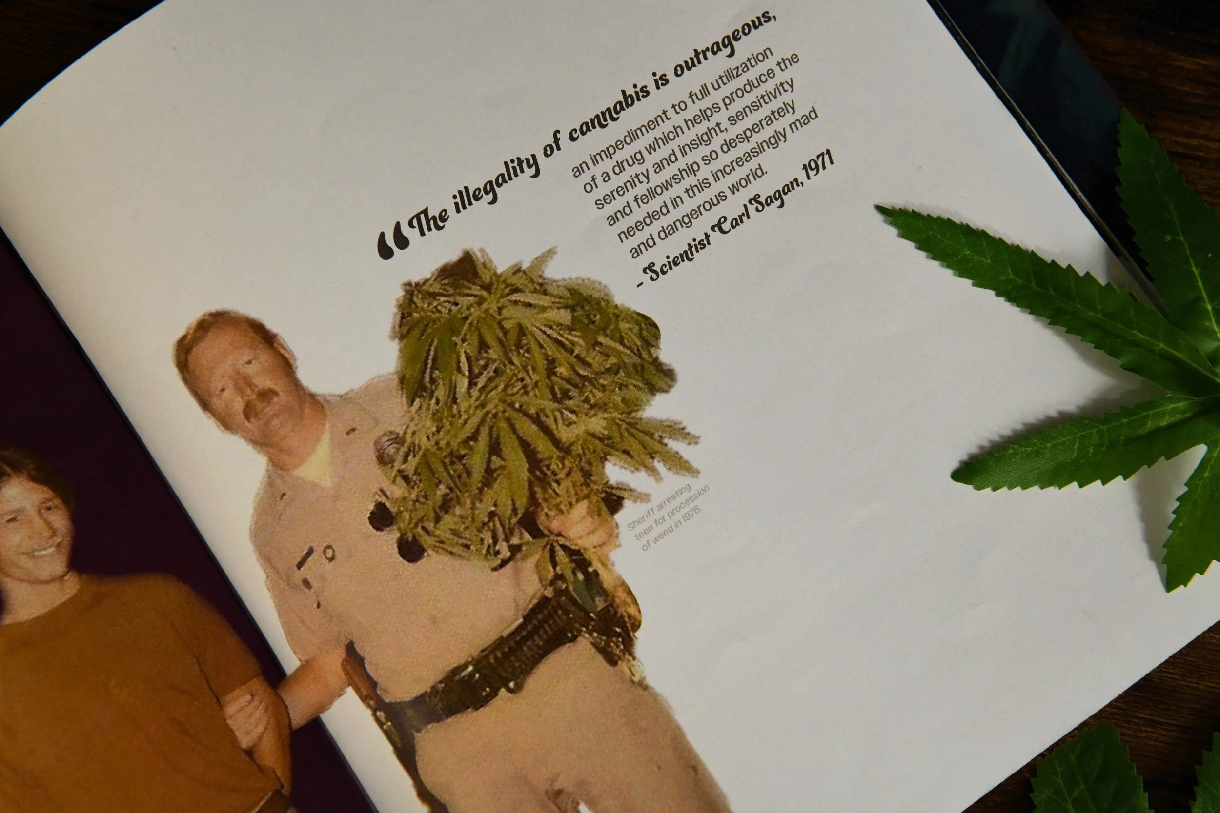 cop copy.jpg