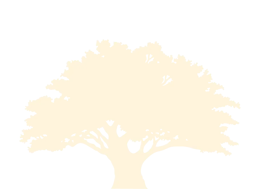 oak tree.webp