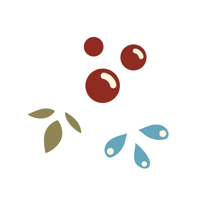 oak style-04.webp