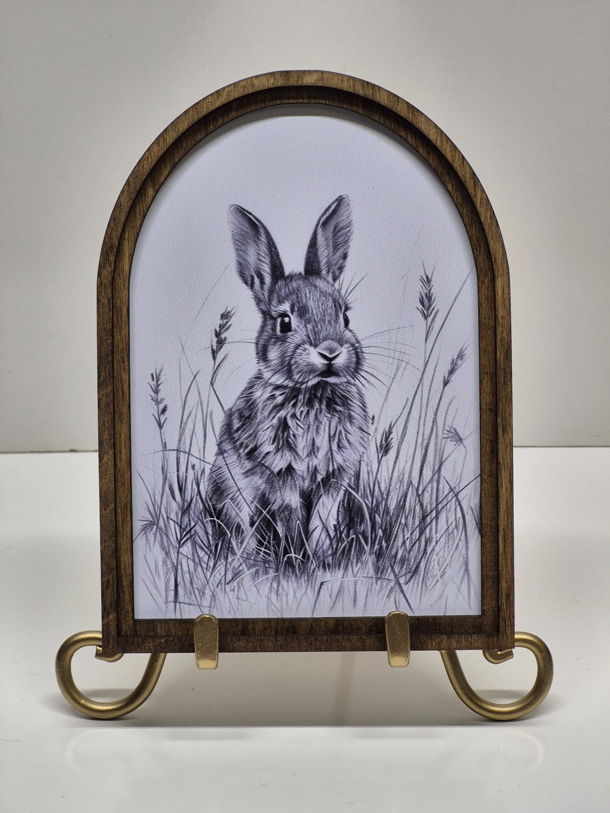 Bunny In Field Picture