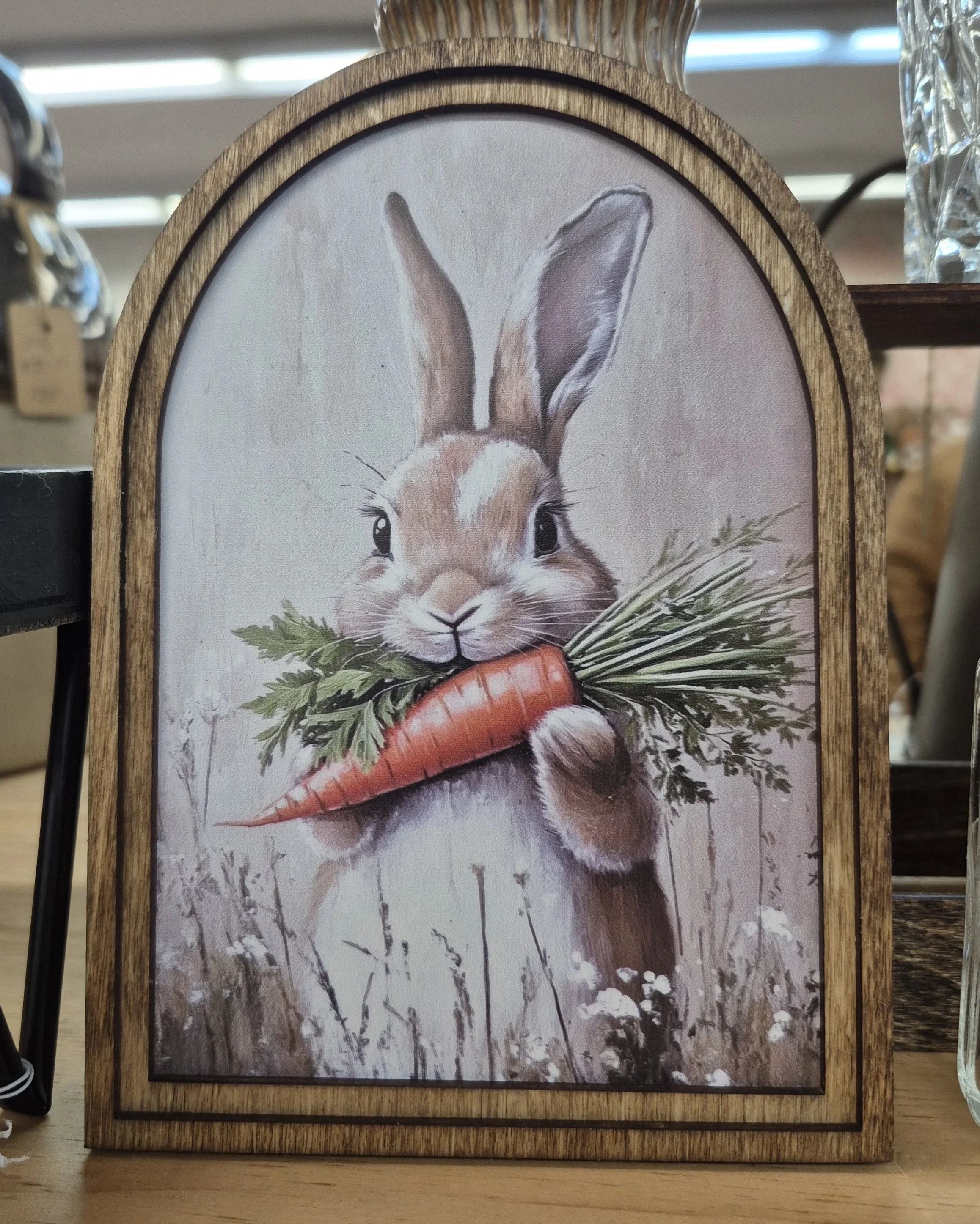 Bunny With Carrot Printed Picture