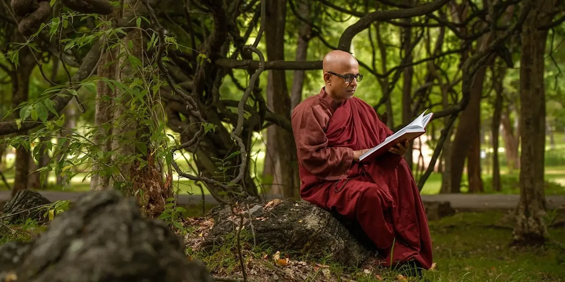 Why We Worry with Bhante Sujatha