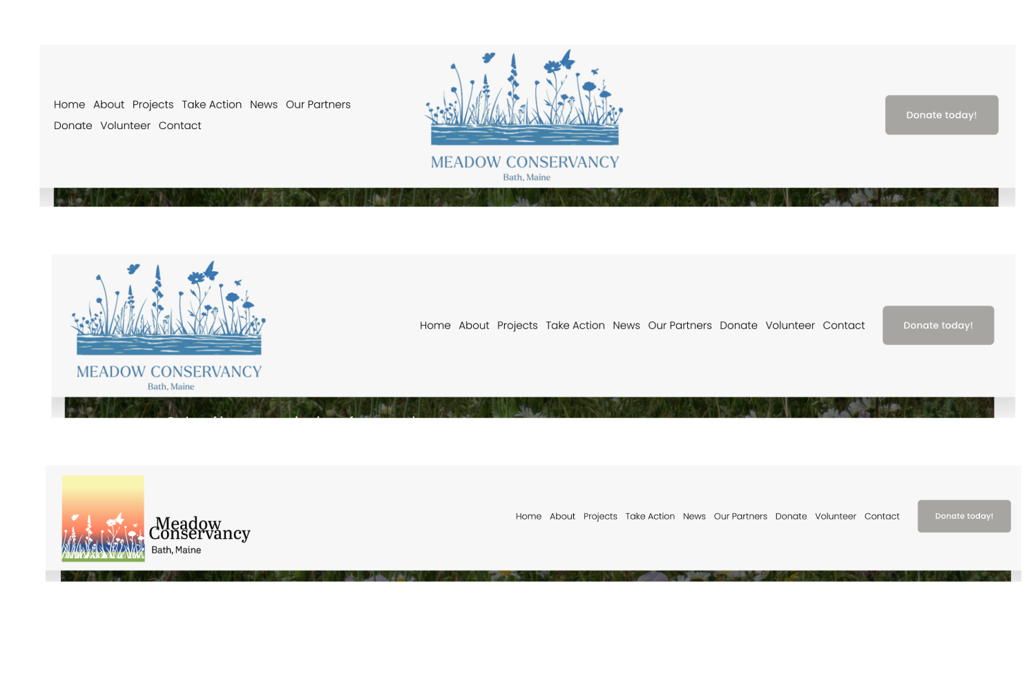 Meadow Logo Exploration-2.png