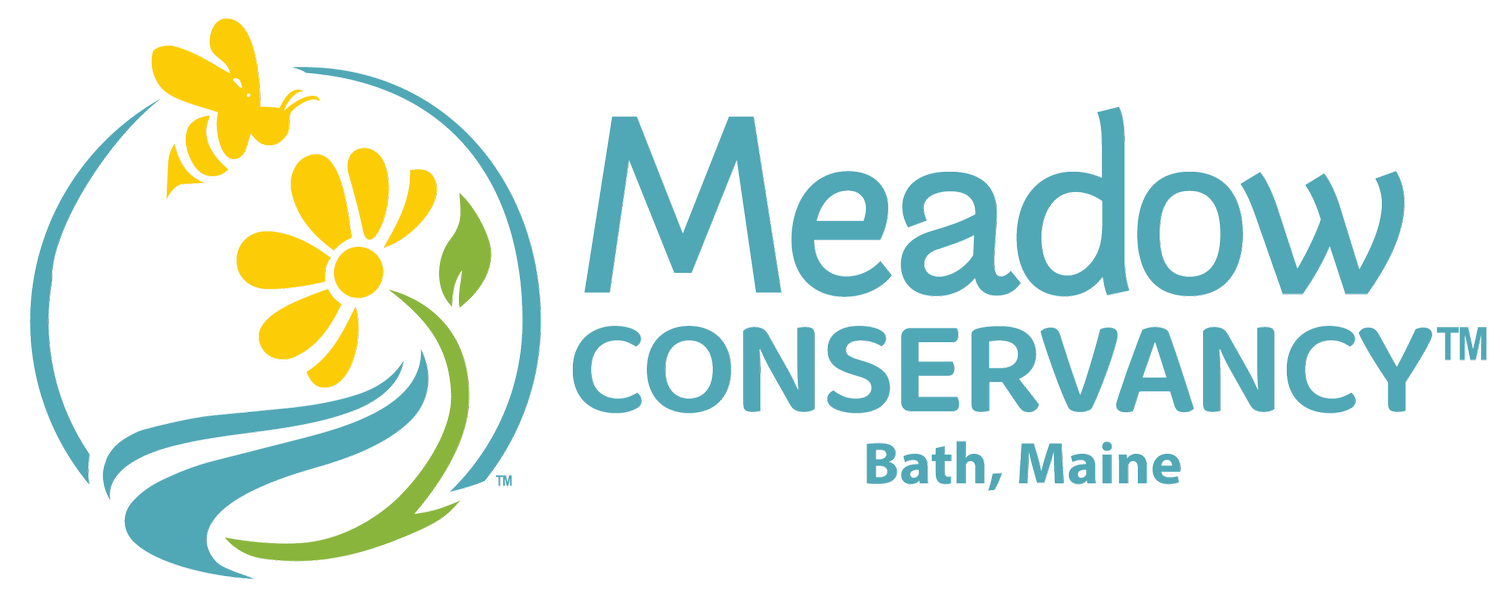 Meadow Conservancy