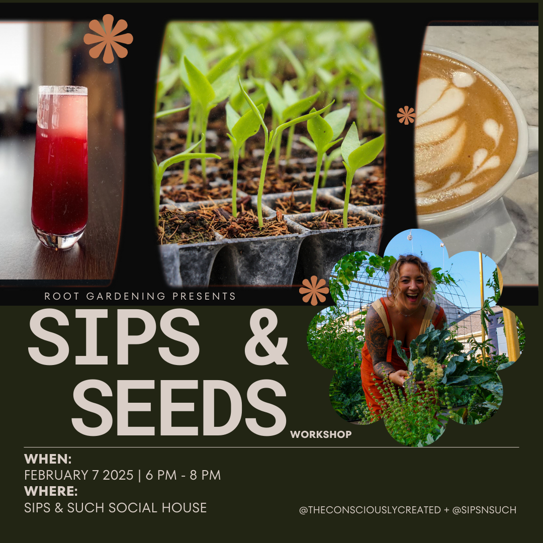 Sips and Seeds