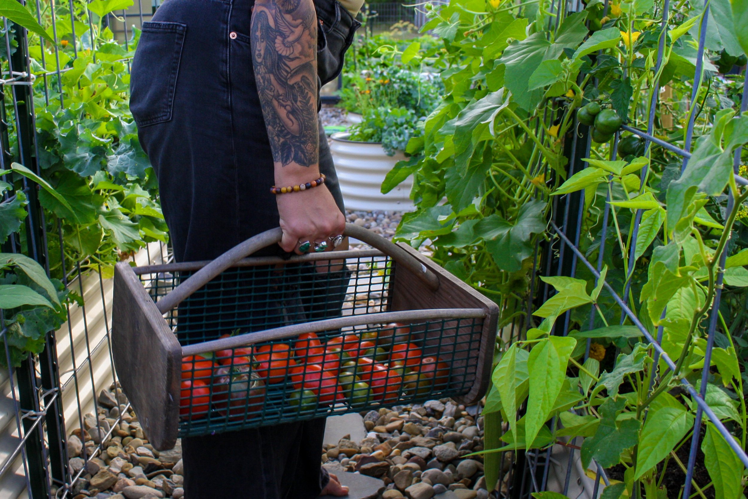 cleveland vegetable garden coach and consultant