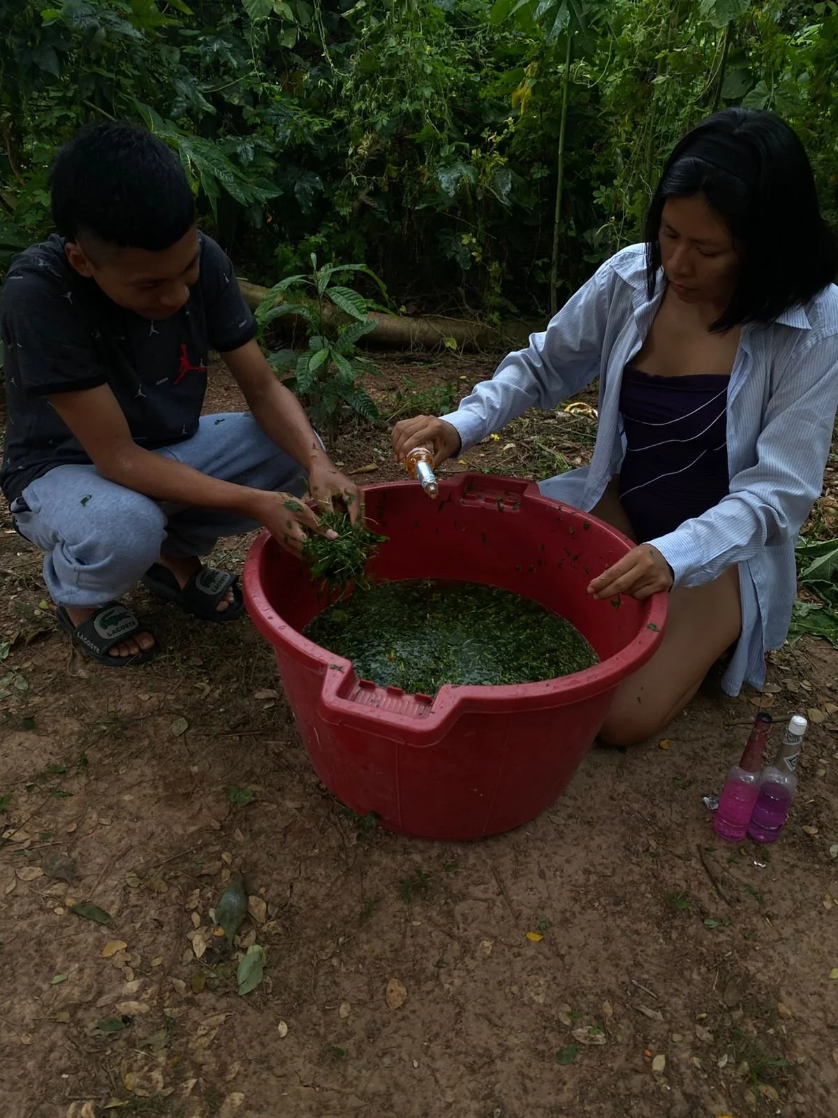 Plant Bath 00.jpeg
