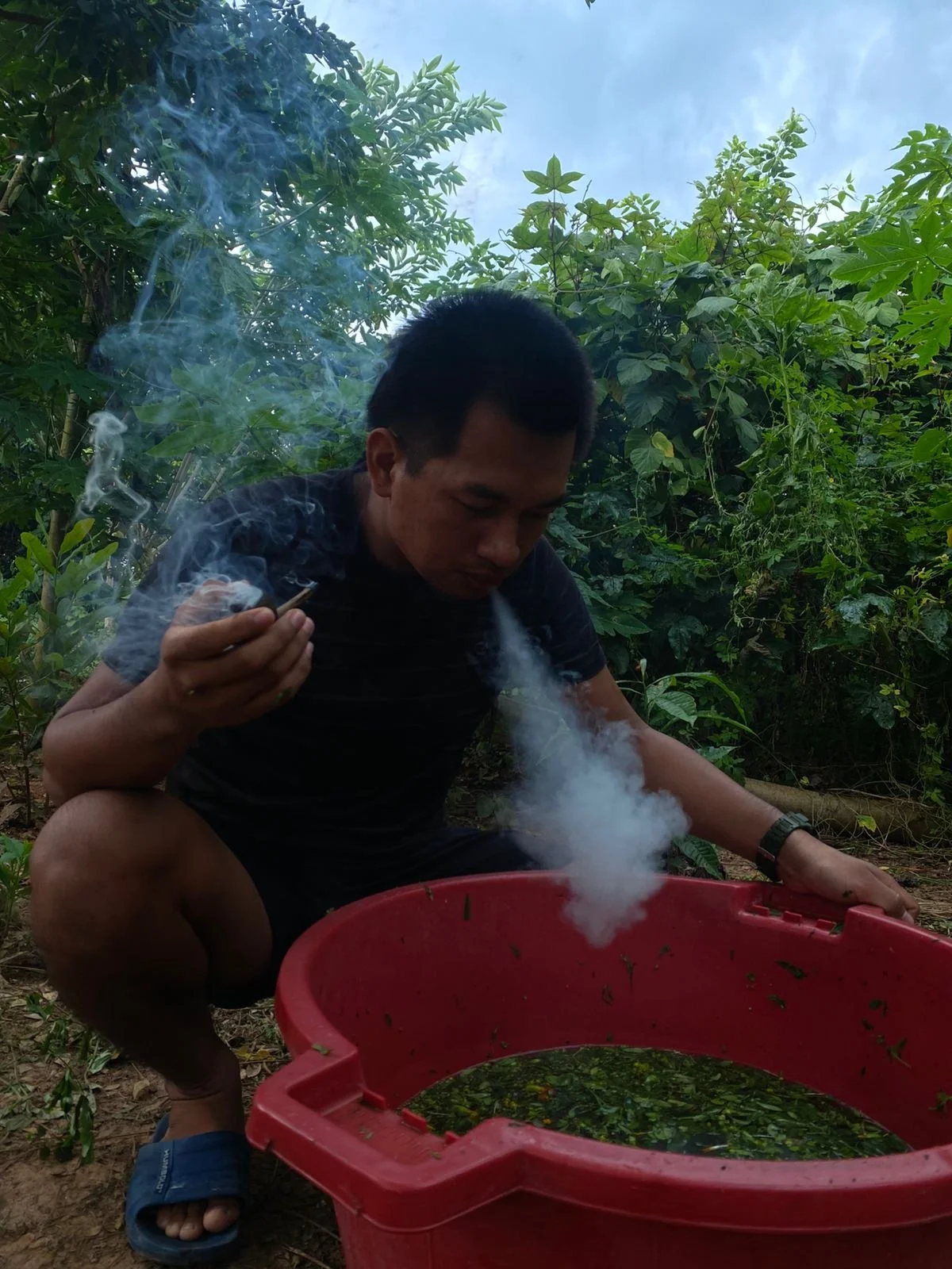 Plant Bath 01.jpeg