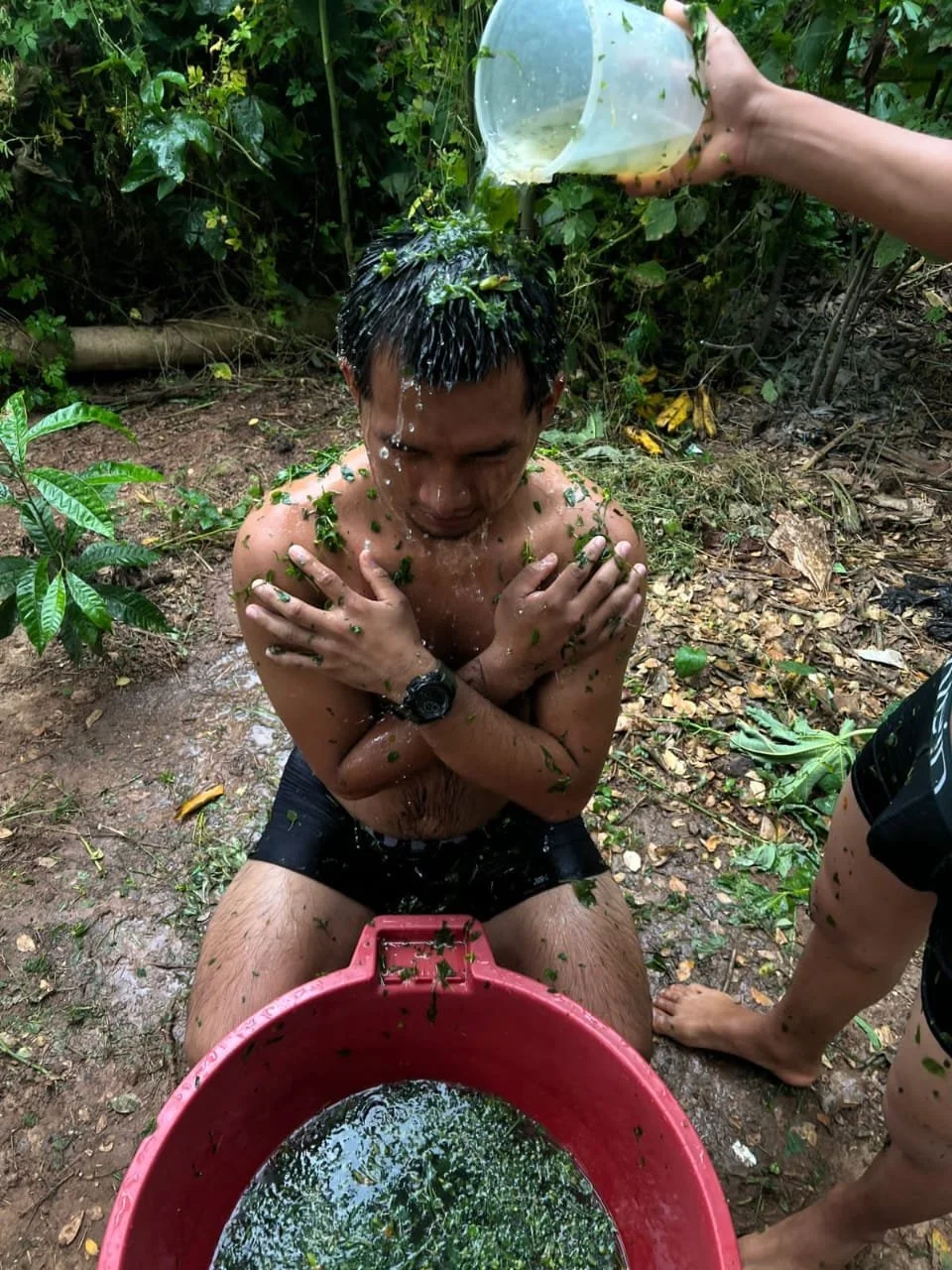 Plant Bath 04.jpeg