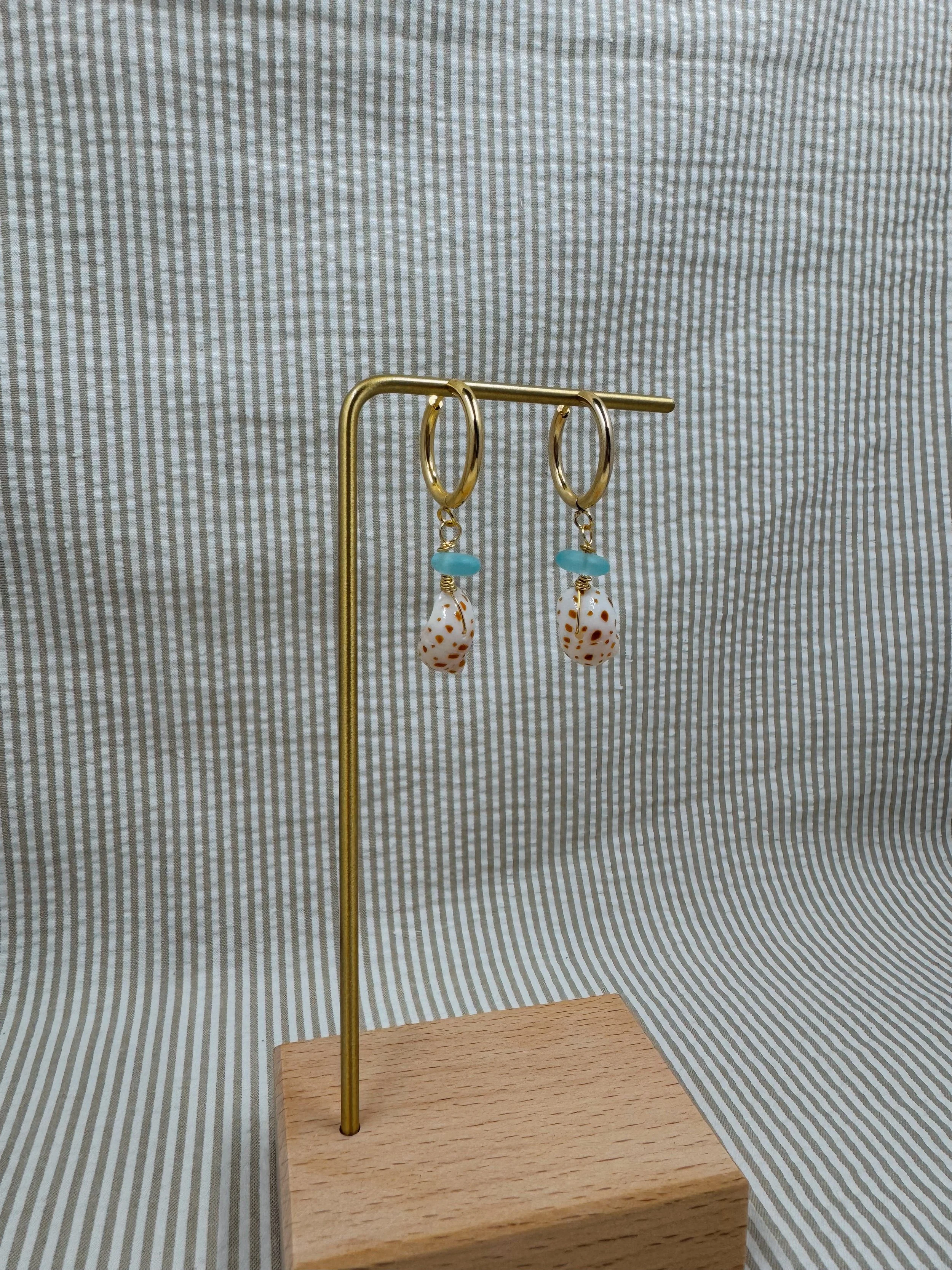 The Spotted Sea Hoop