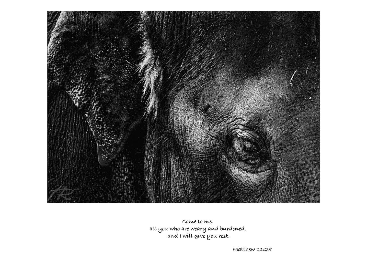 Weary and Burdened