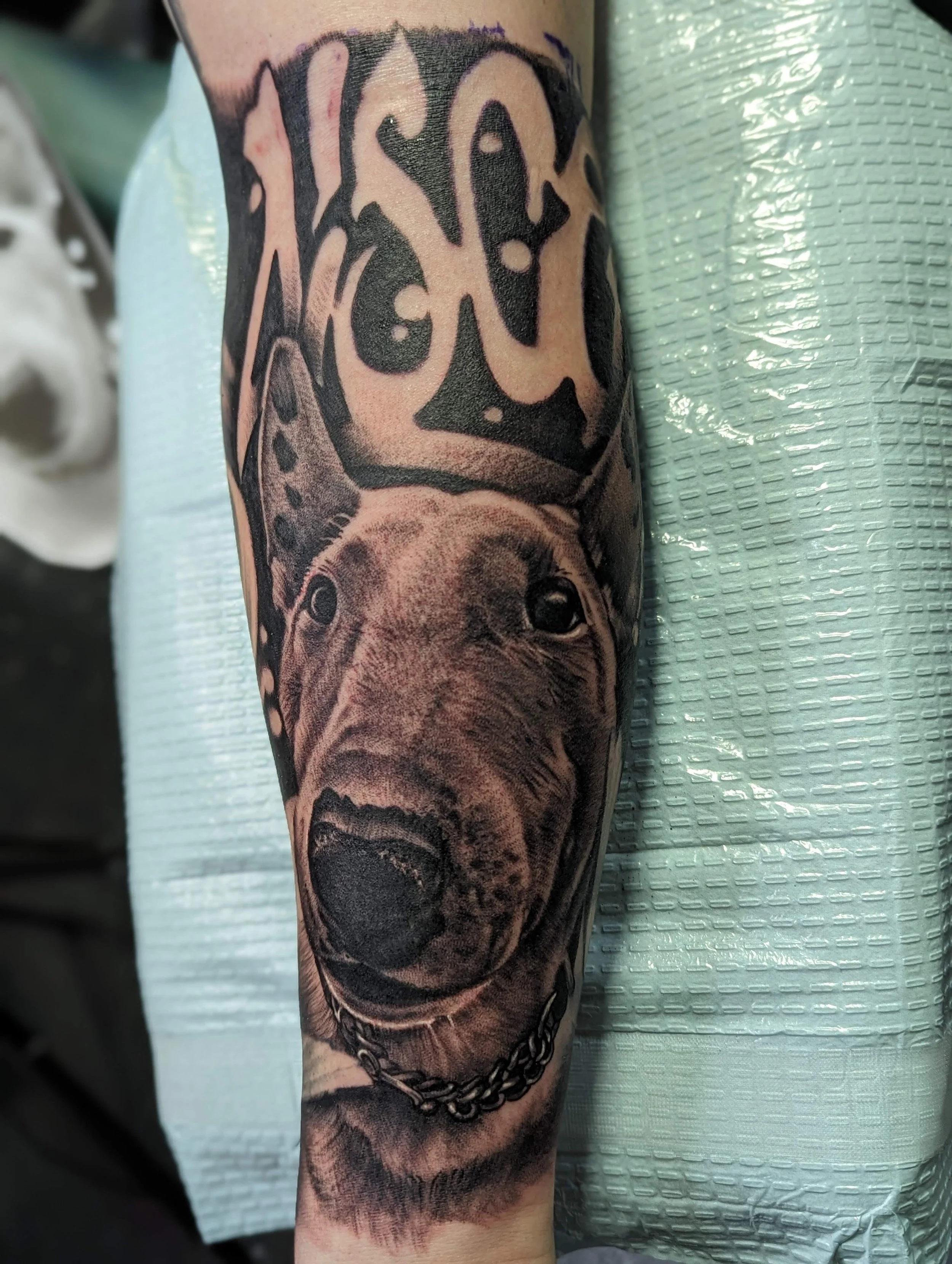 black and grey portrait of someone's dog