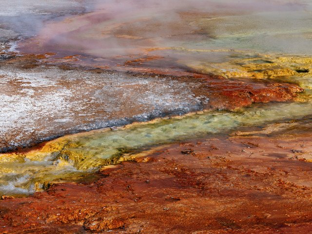 Mammoth Hot Springs #5 : Annelies de Kater