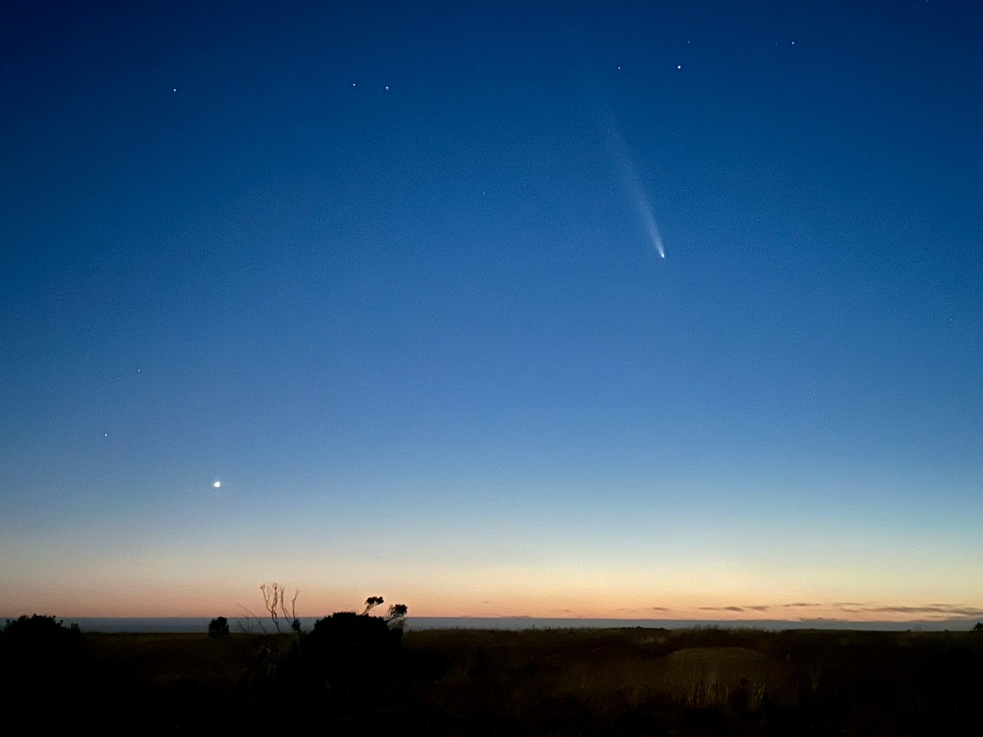 Suzanne Rudder : Comet