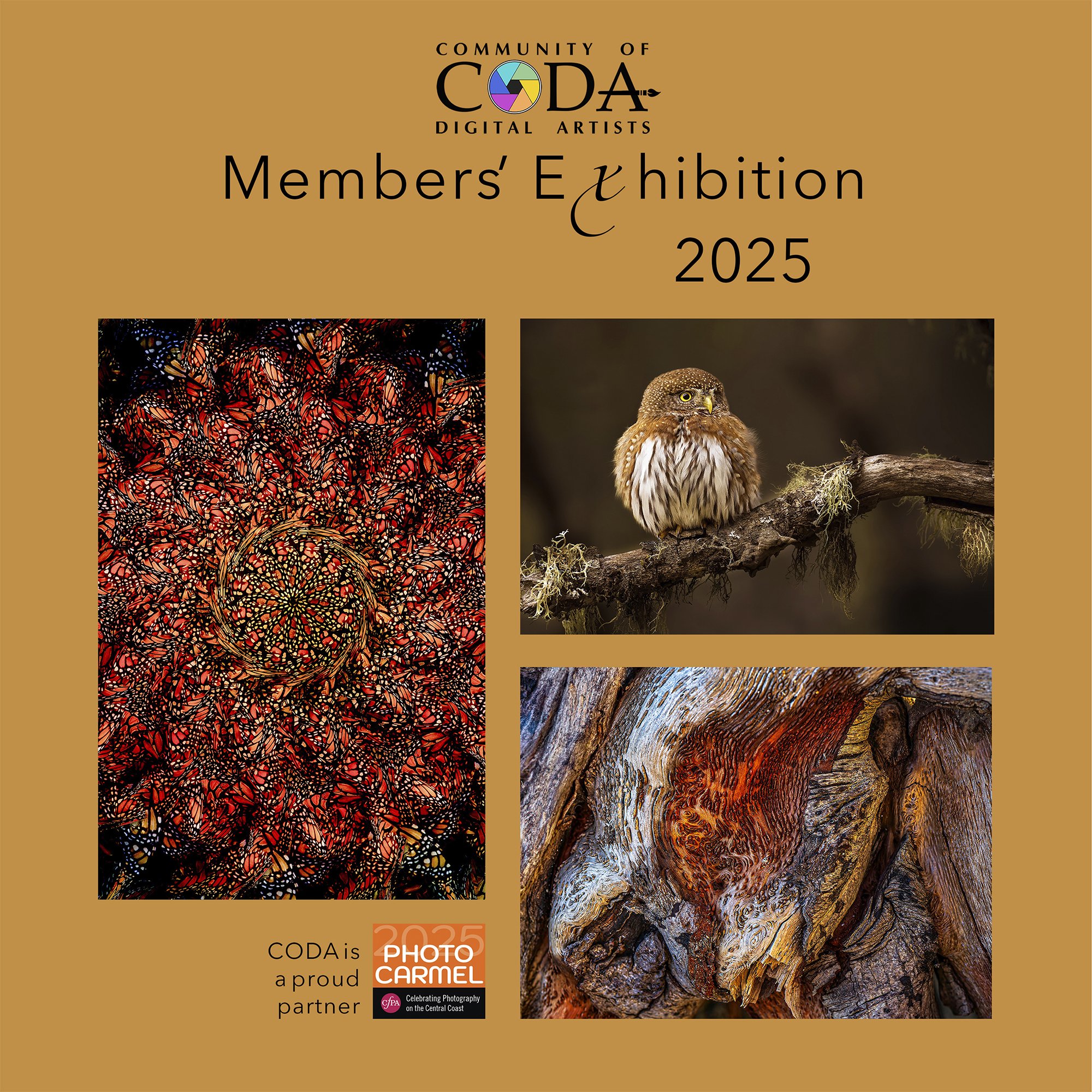 The following images in this gallery constitute the 2025 CODA Members’ Exhibition, which will be on view at the R. Blitzer Gallery in Santa Cruz, California during April, 2025.