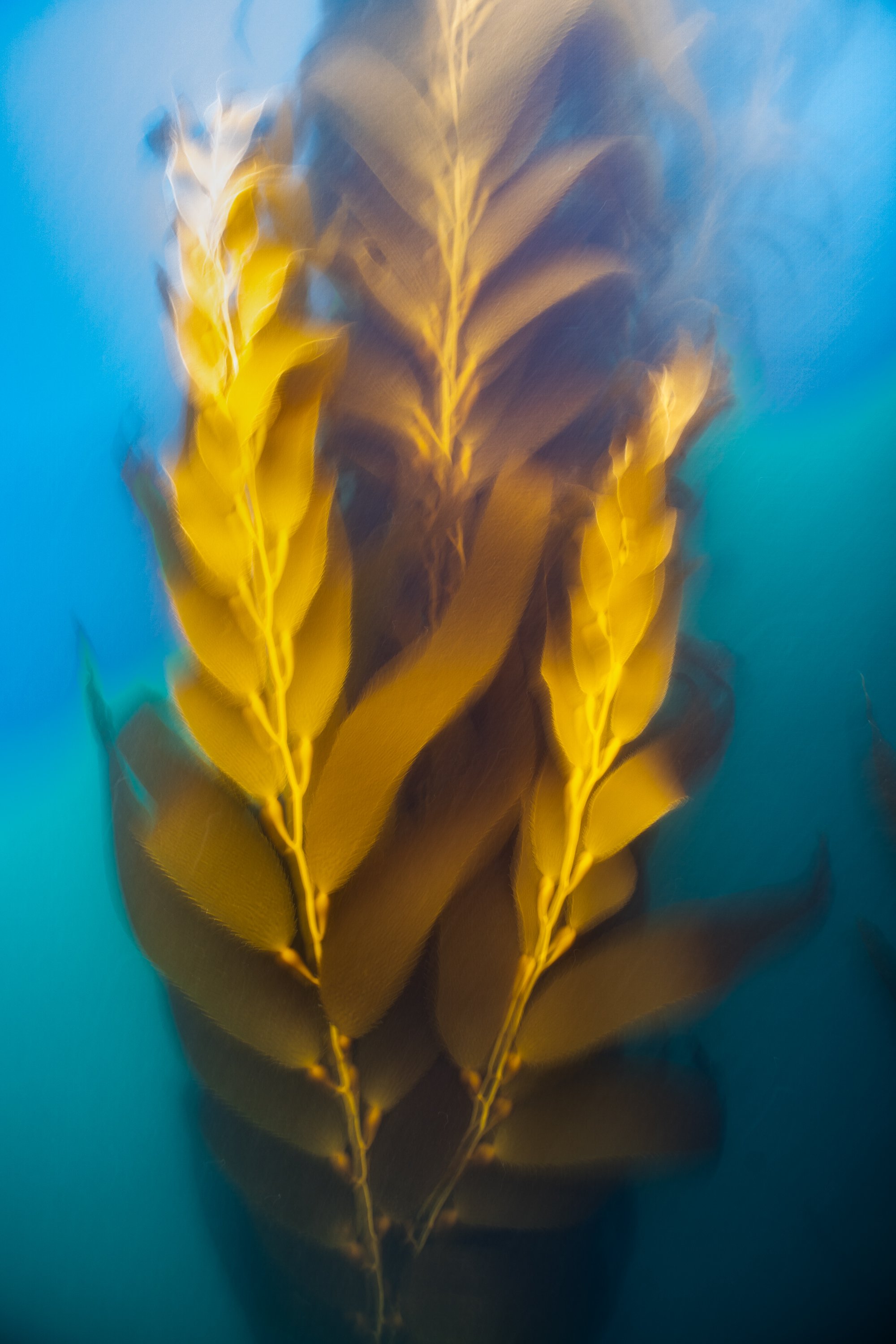 Gold Worth Keeping : Effie Benjamin