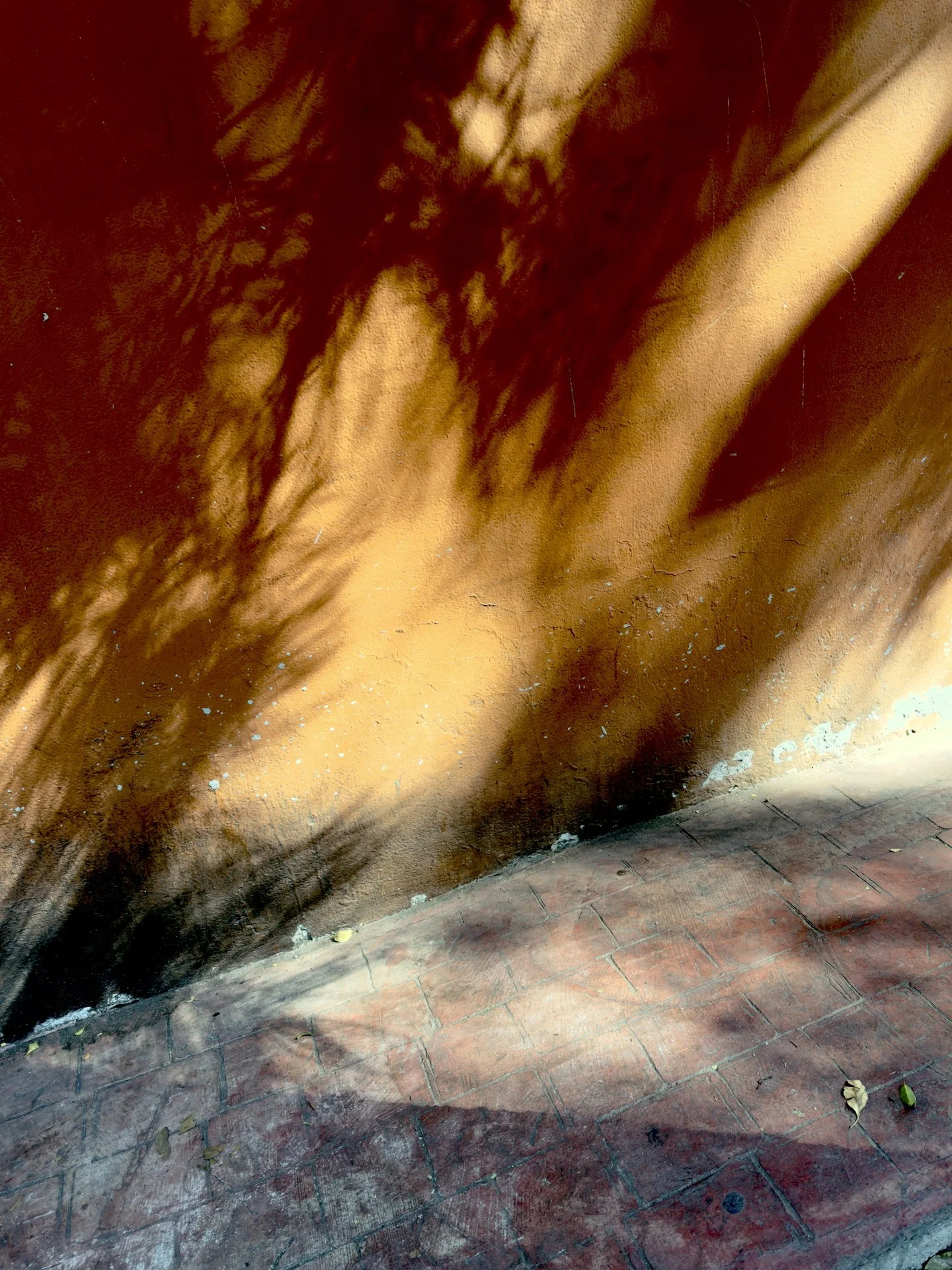 Shadows on Orange Wall : Shelly Errington