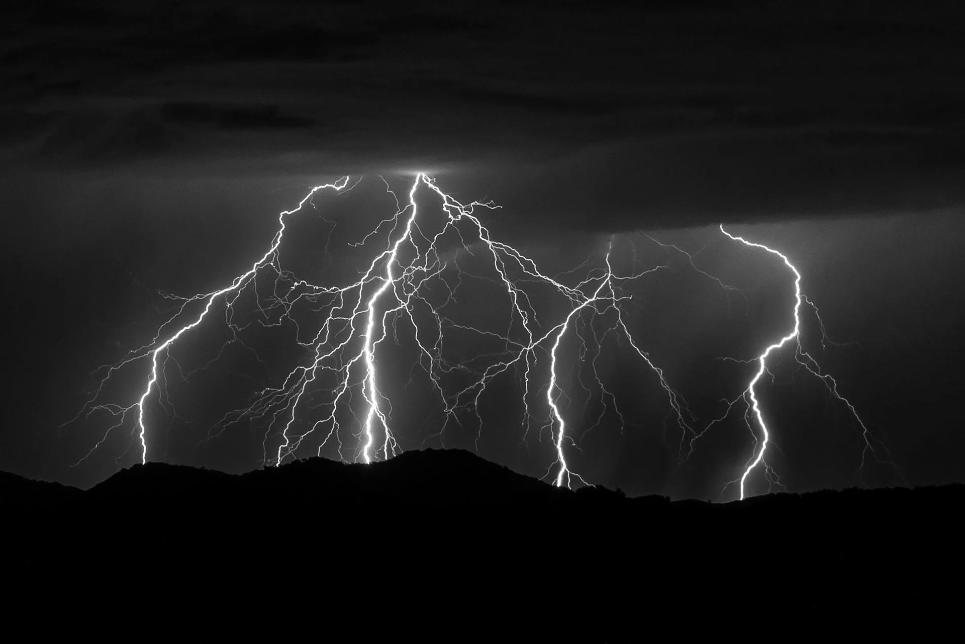 Lightning Strikes : David Gubernick