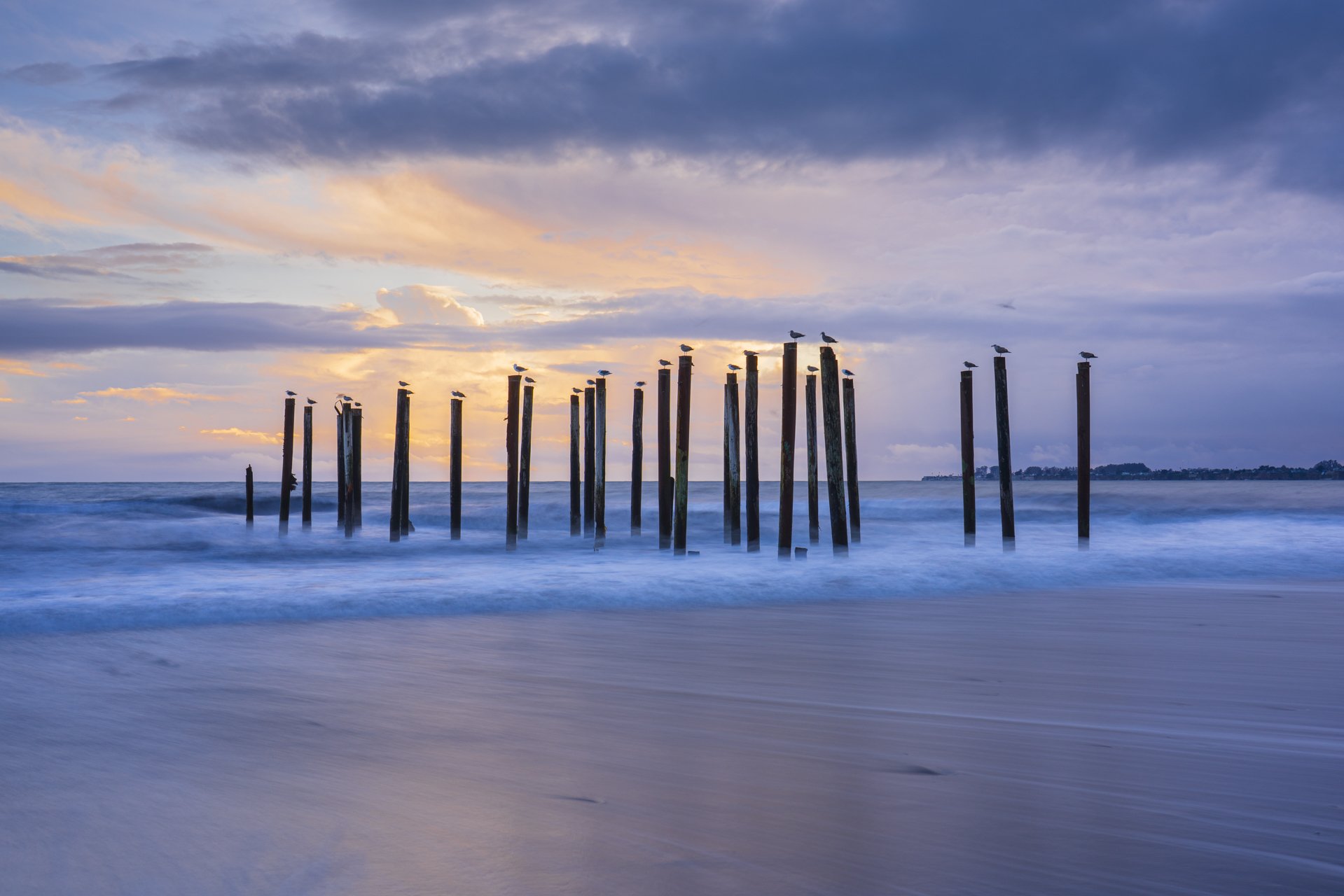 Pilings and Gulls : Patrick Jagger