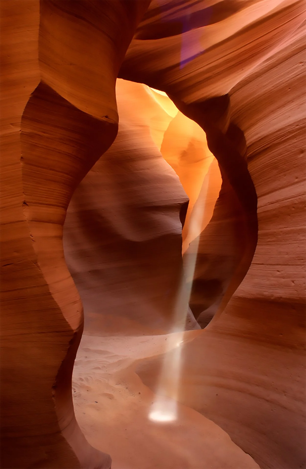 SUNBEAM : Seraphina Landgrebe