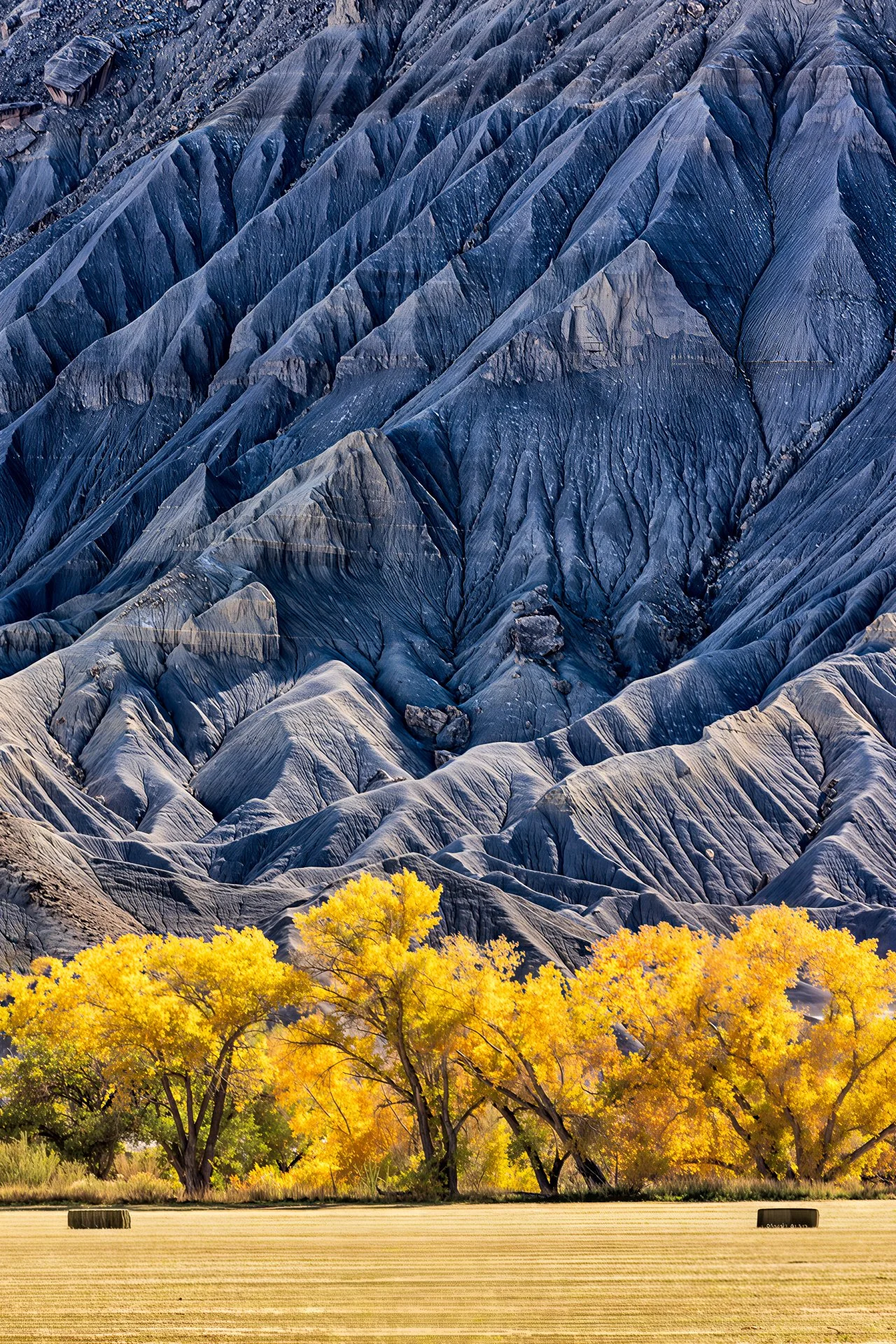 Land of the Cottonwoods : Robert Mahrer