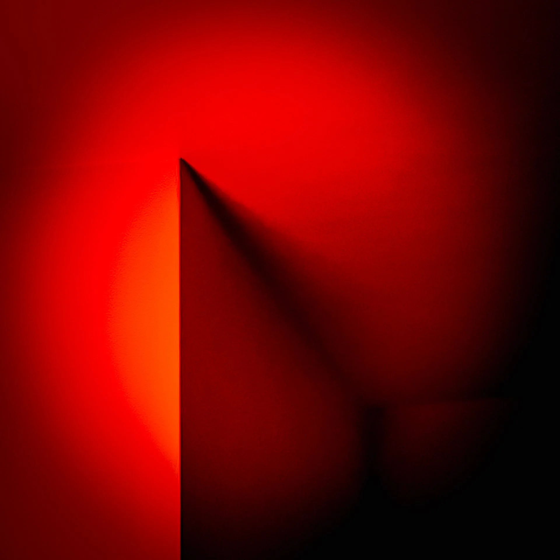 The Wall : Keith Munger