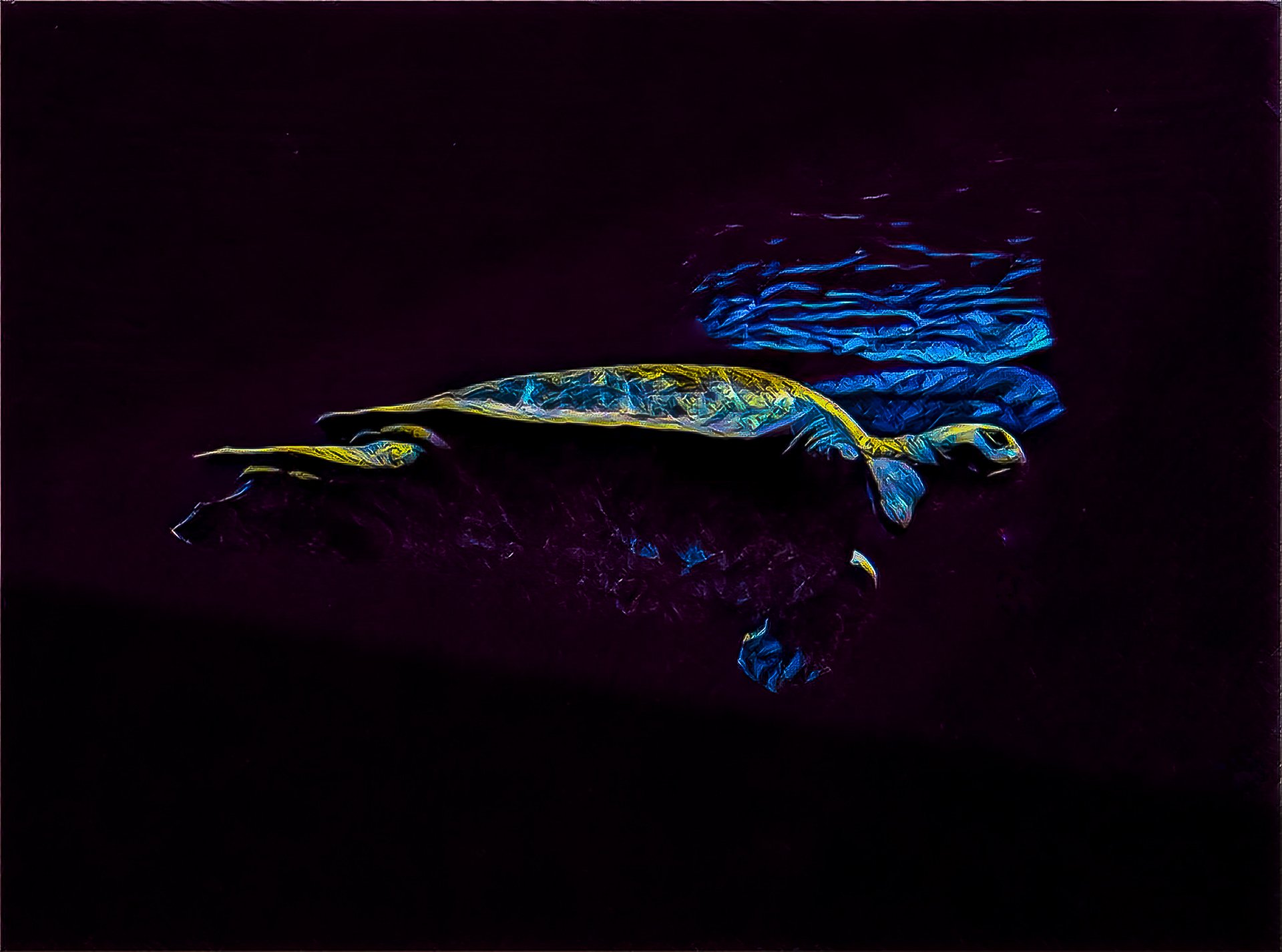 Night Glider : Robin Ove