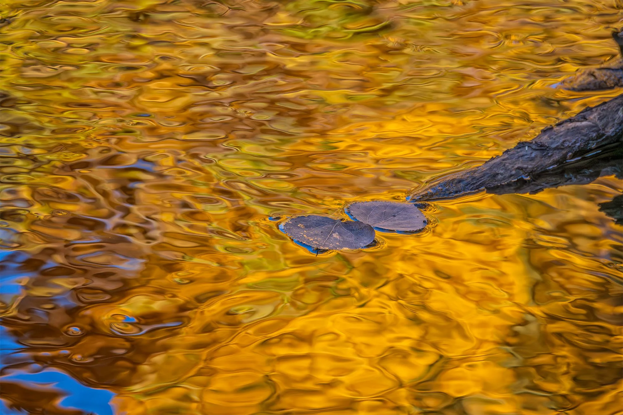 Floating on Fire : Michael Singer