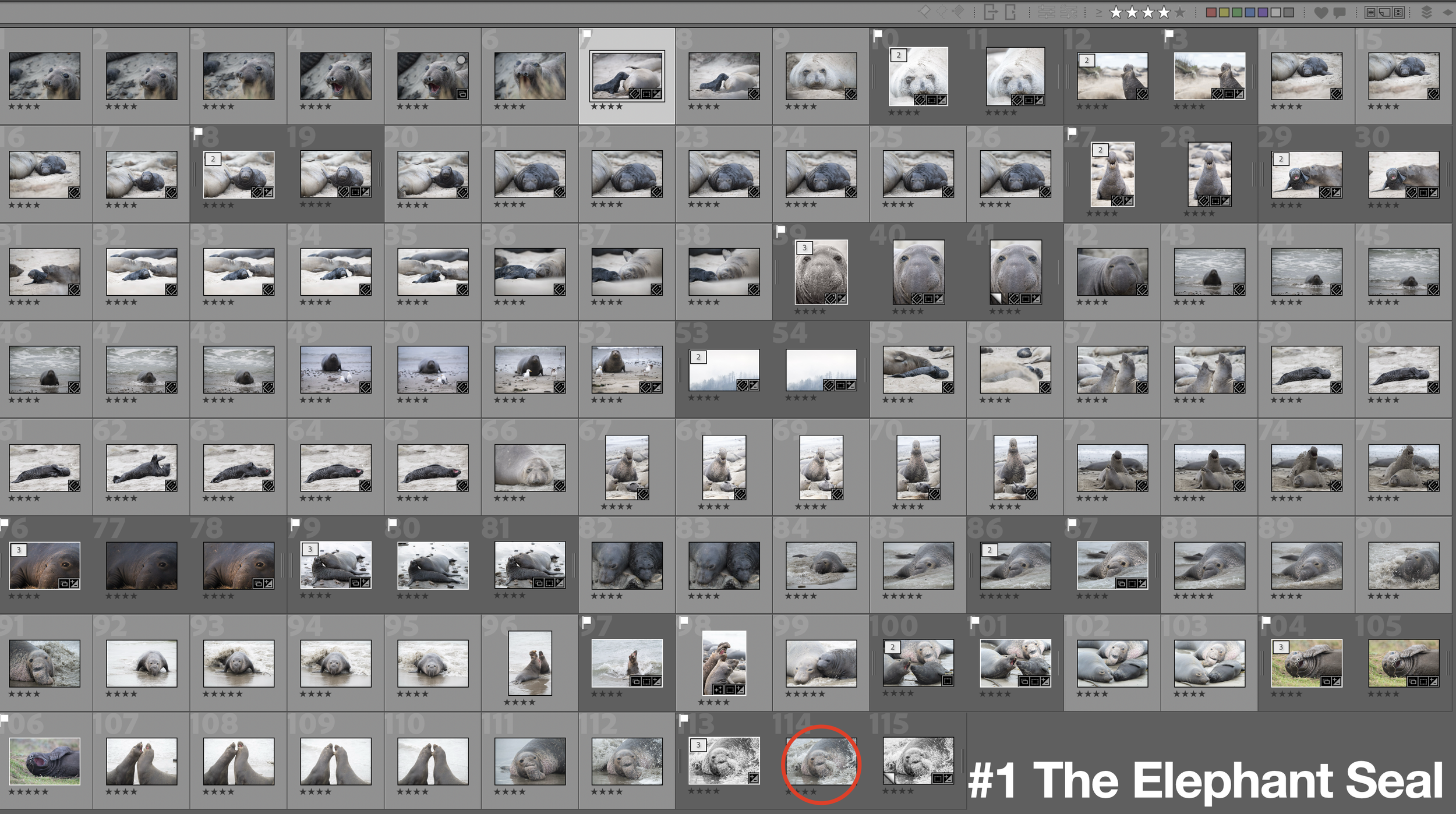 Screenshot 2026-04-25 at 5.37.08 PM.png