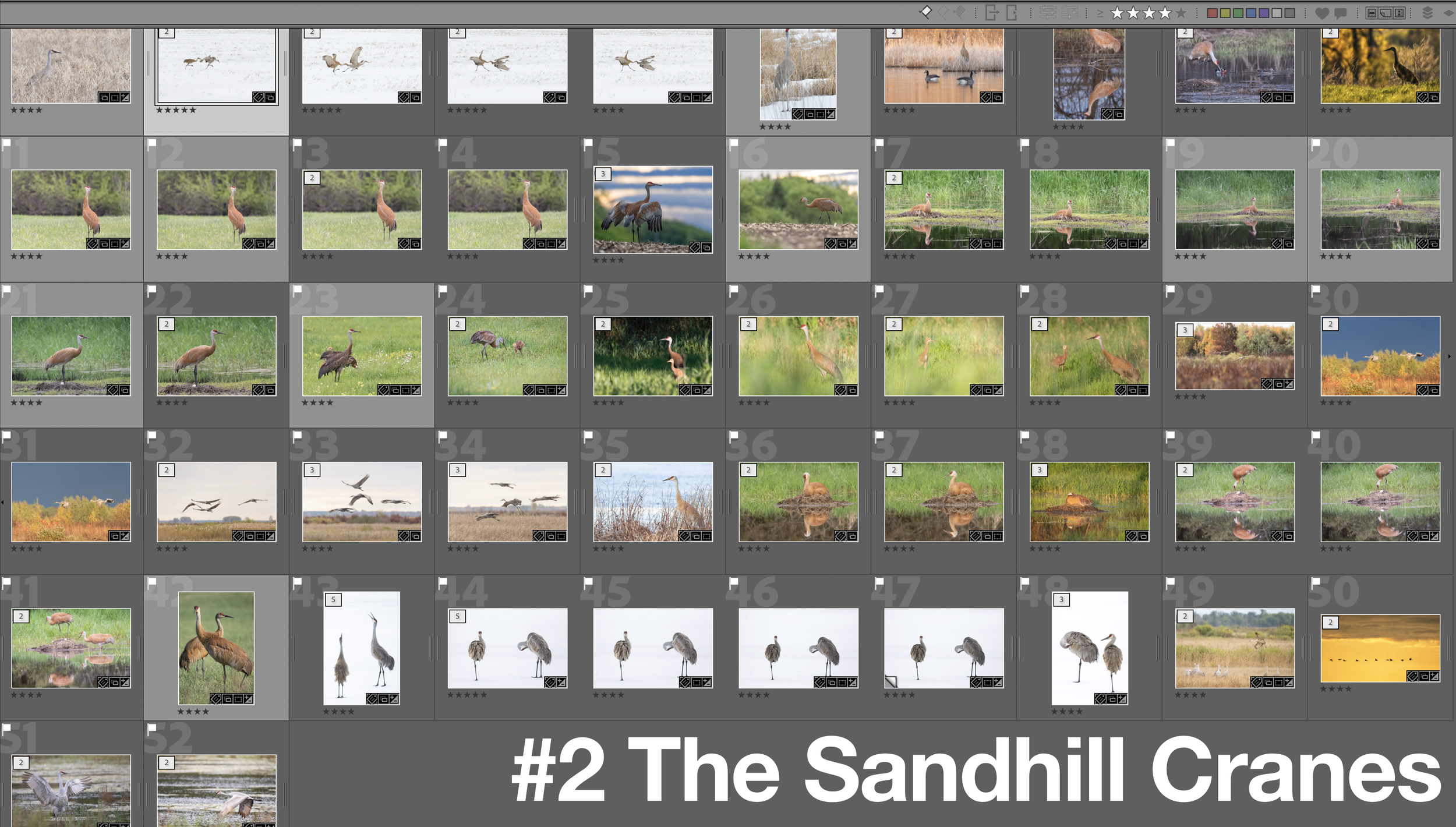 Screenshot 2026-04-25 at 5.38.59 PM.png