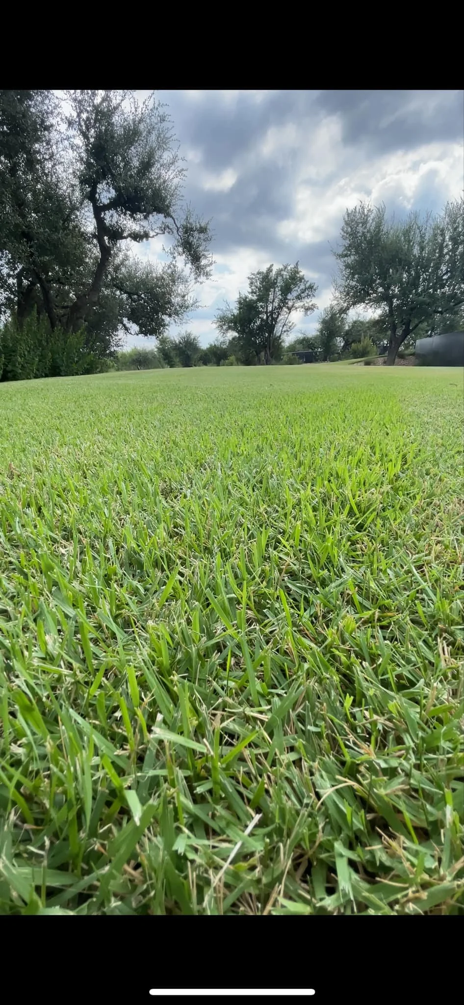 Weekly lawn care maintenance on a freshly mowed green lawn in the Spanish Oaks community near Bee Cave, Austin TX.