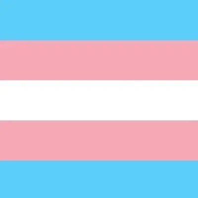 Today is the Transgender and Non-binary Day of Visibility.

I've been dealing with hate in the news and hate on the ground here at Syracuse University. This place is unfriendly; I wish it wasn't so.

All I, and others in this community, ask for is re